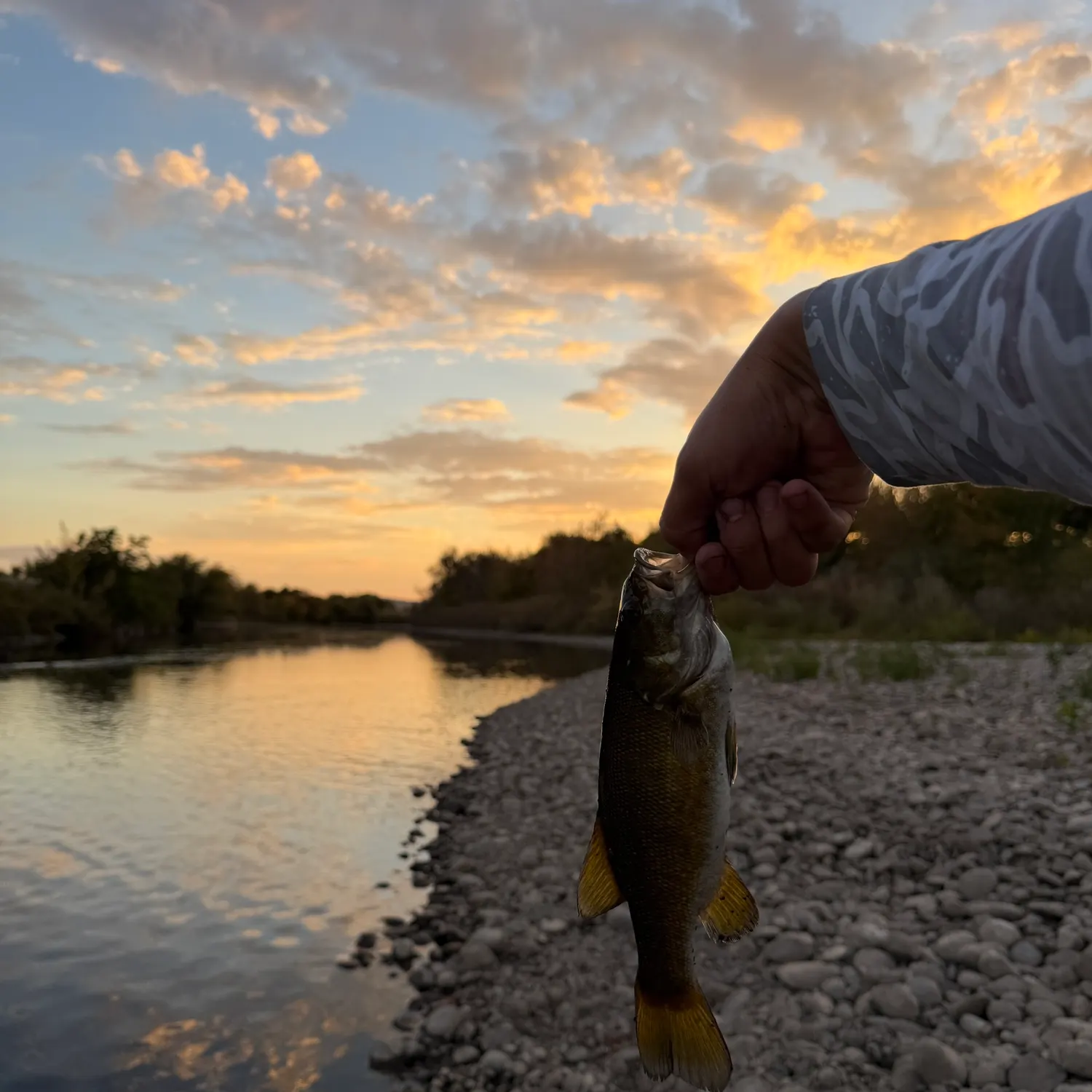 Smallmouth bass caught on Fishbrain