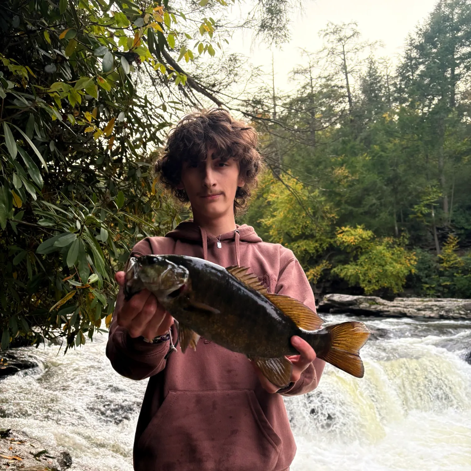 Smallmouth bass caught on Fishbrain