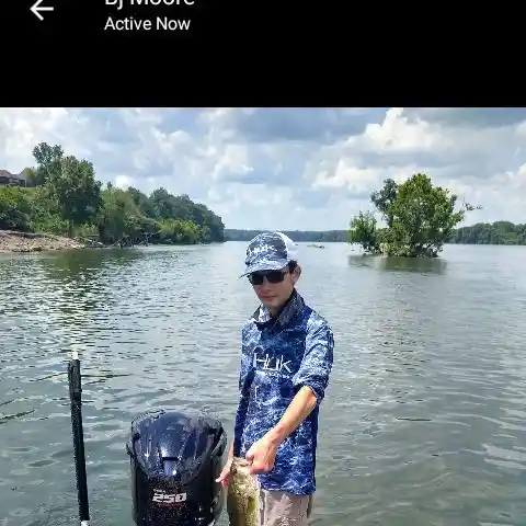 most liked catch image