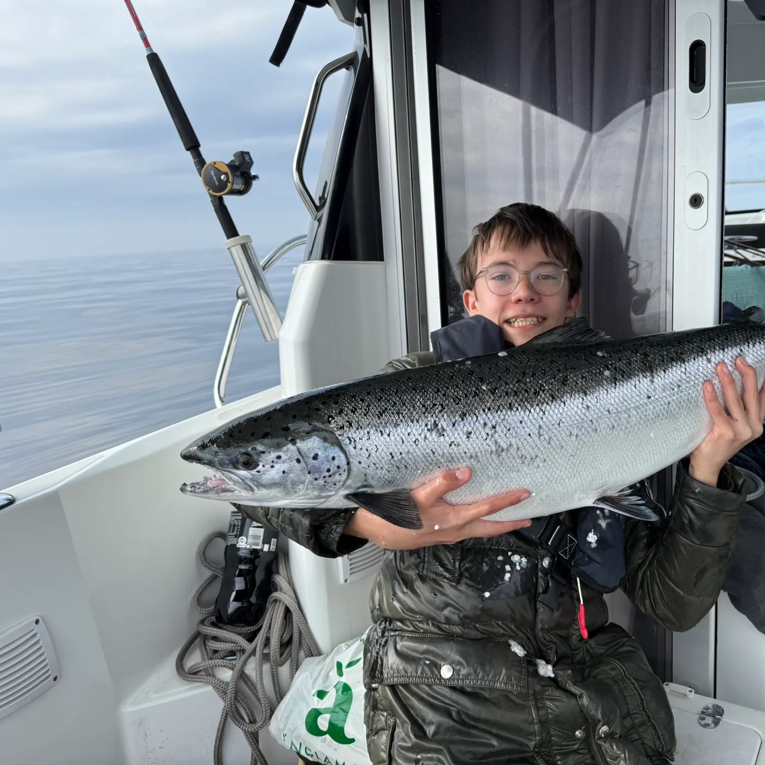 Coho salmon caught on Fishbrain