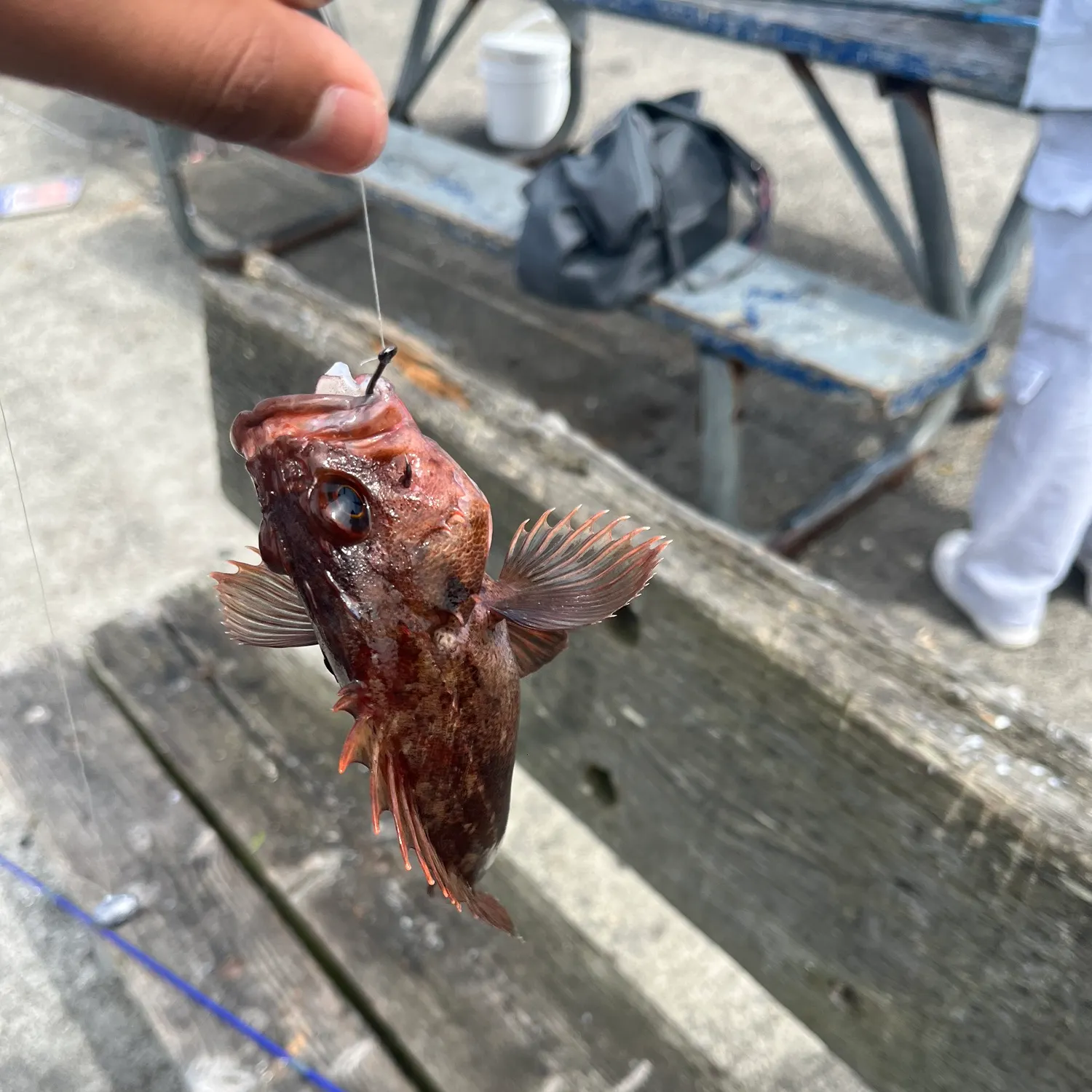 catch