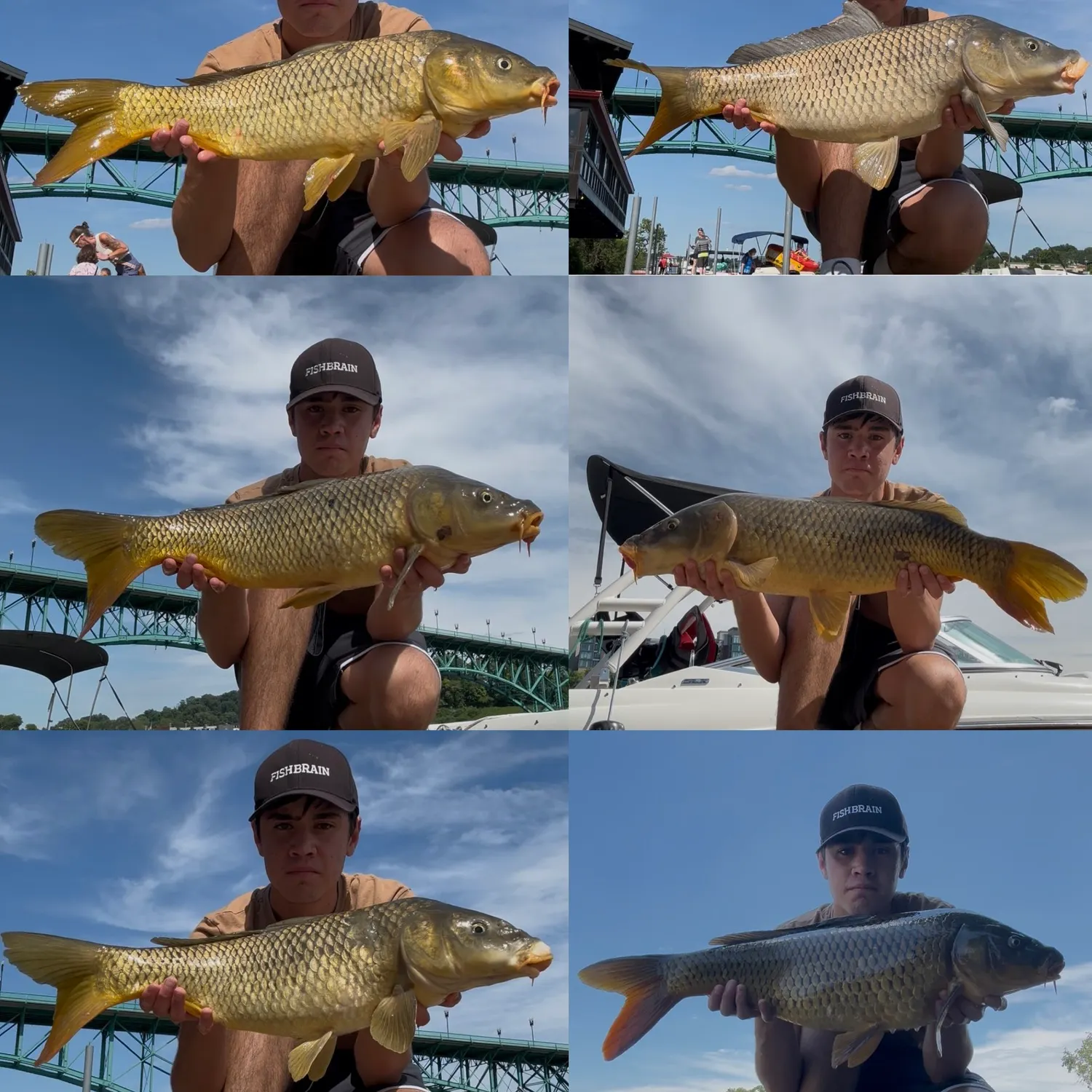 recently logged catches