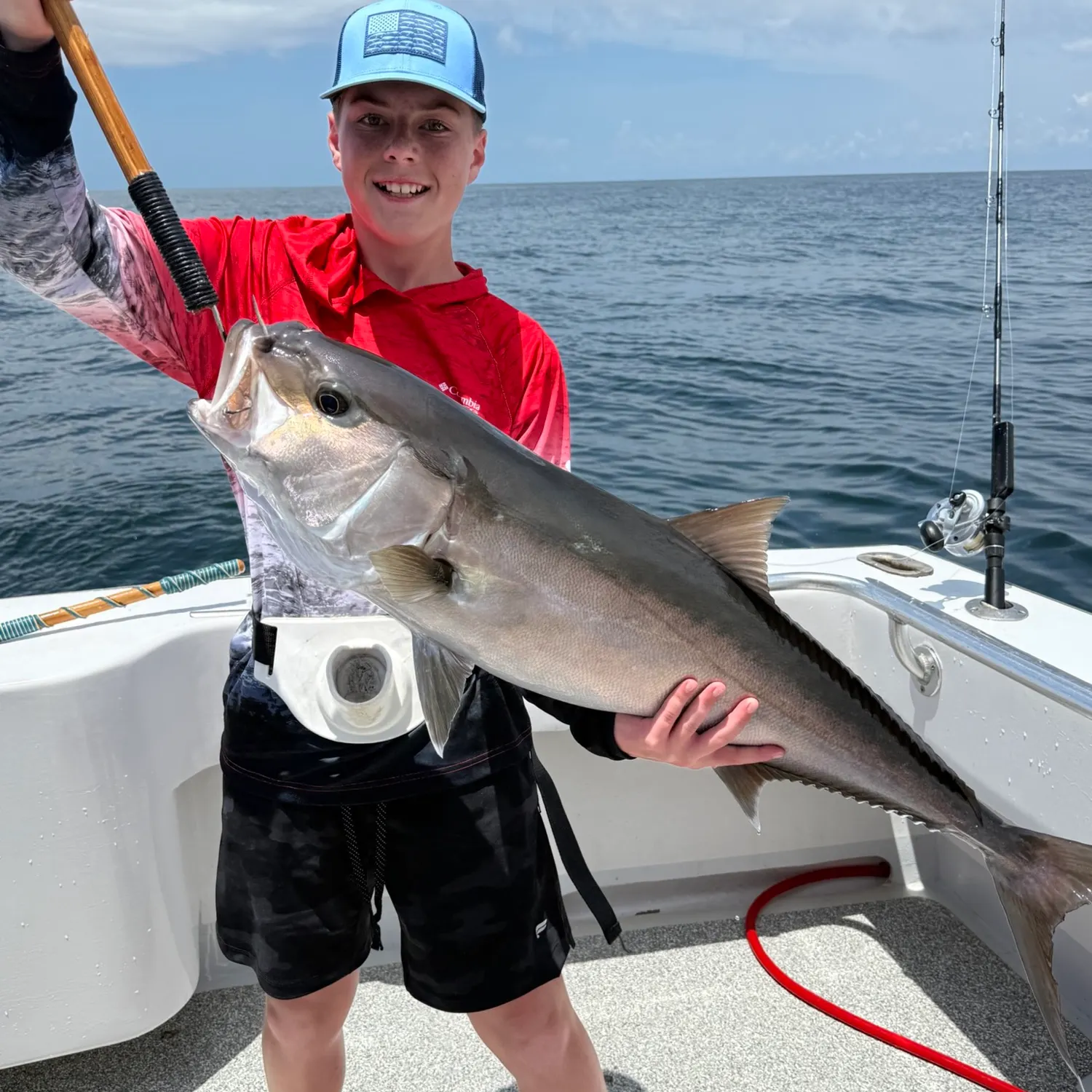 Greater amberjack caught on Fishbrain