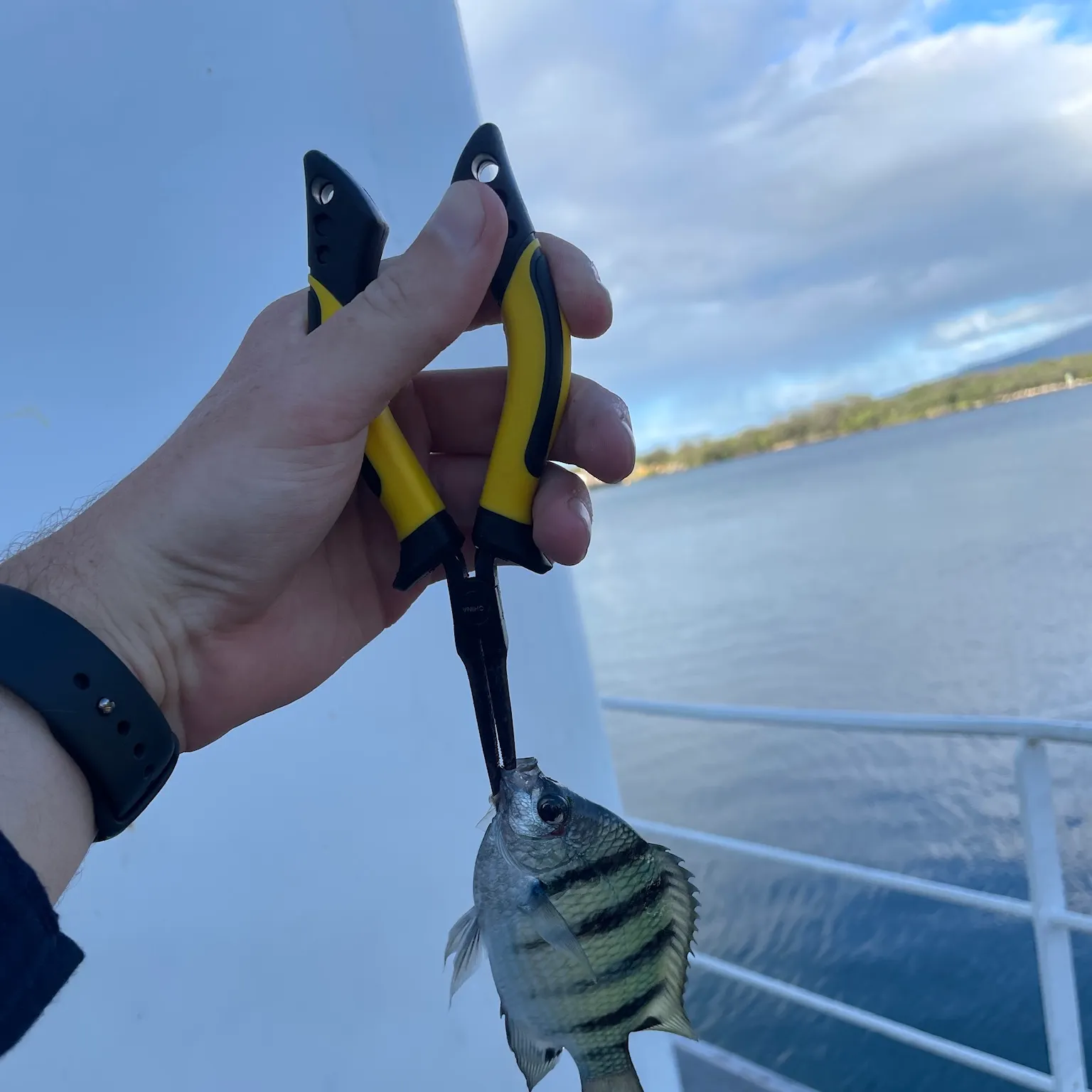 catch