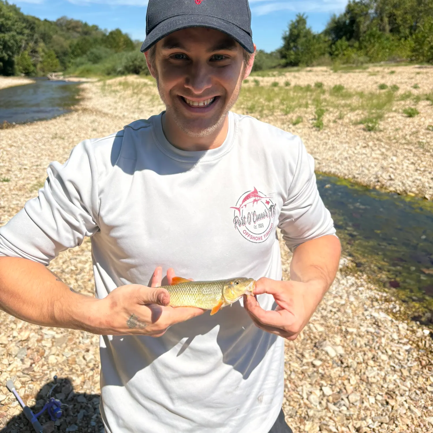 Hornyhead chub caught on Fishbrain