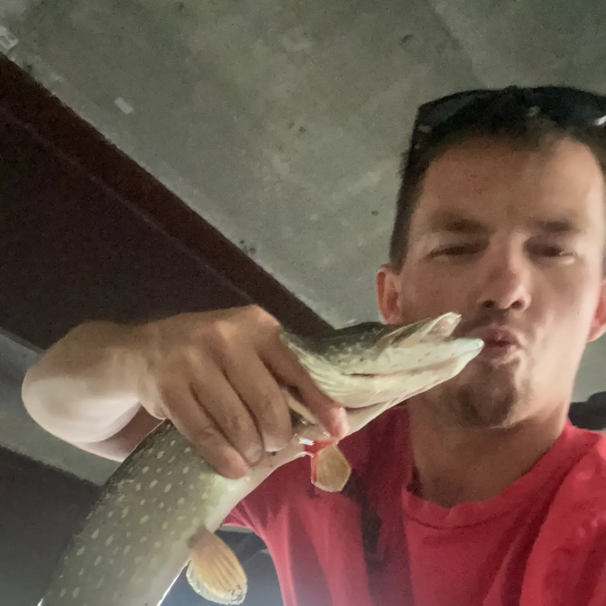 Northern pike caught on Fishbrain