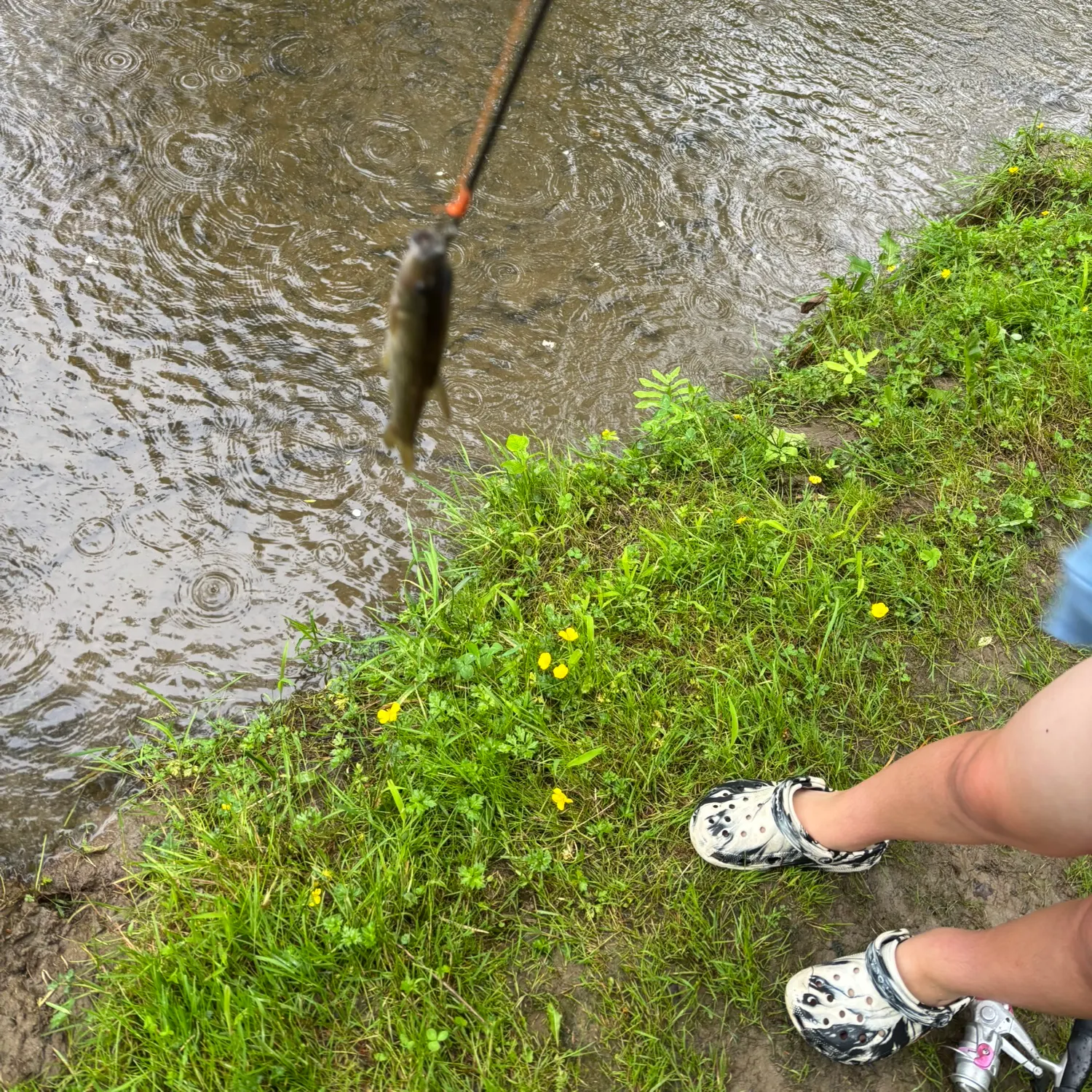 most liked catch image