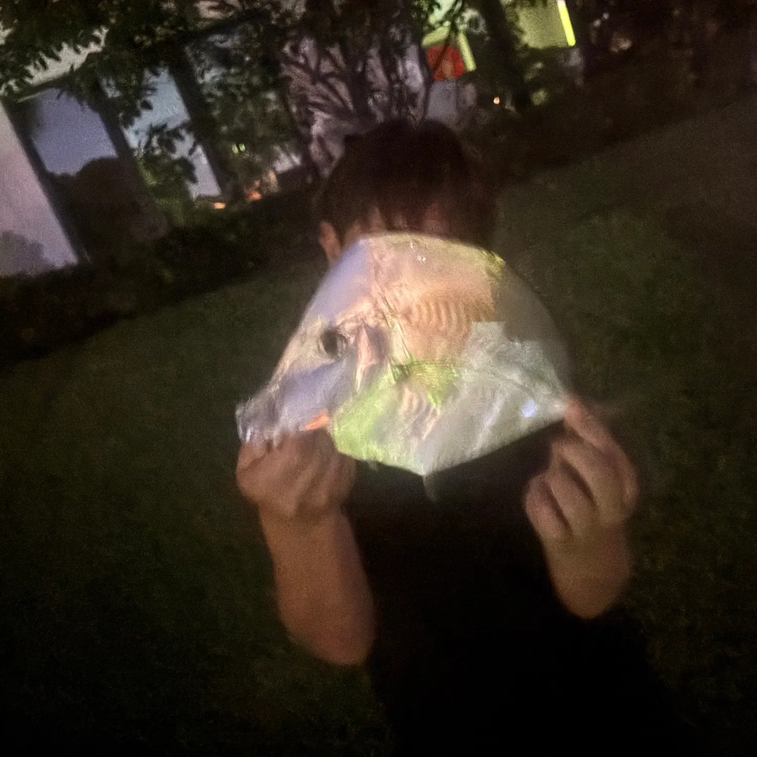 The most recent Lookdown catches on Fishbrain