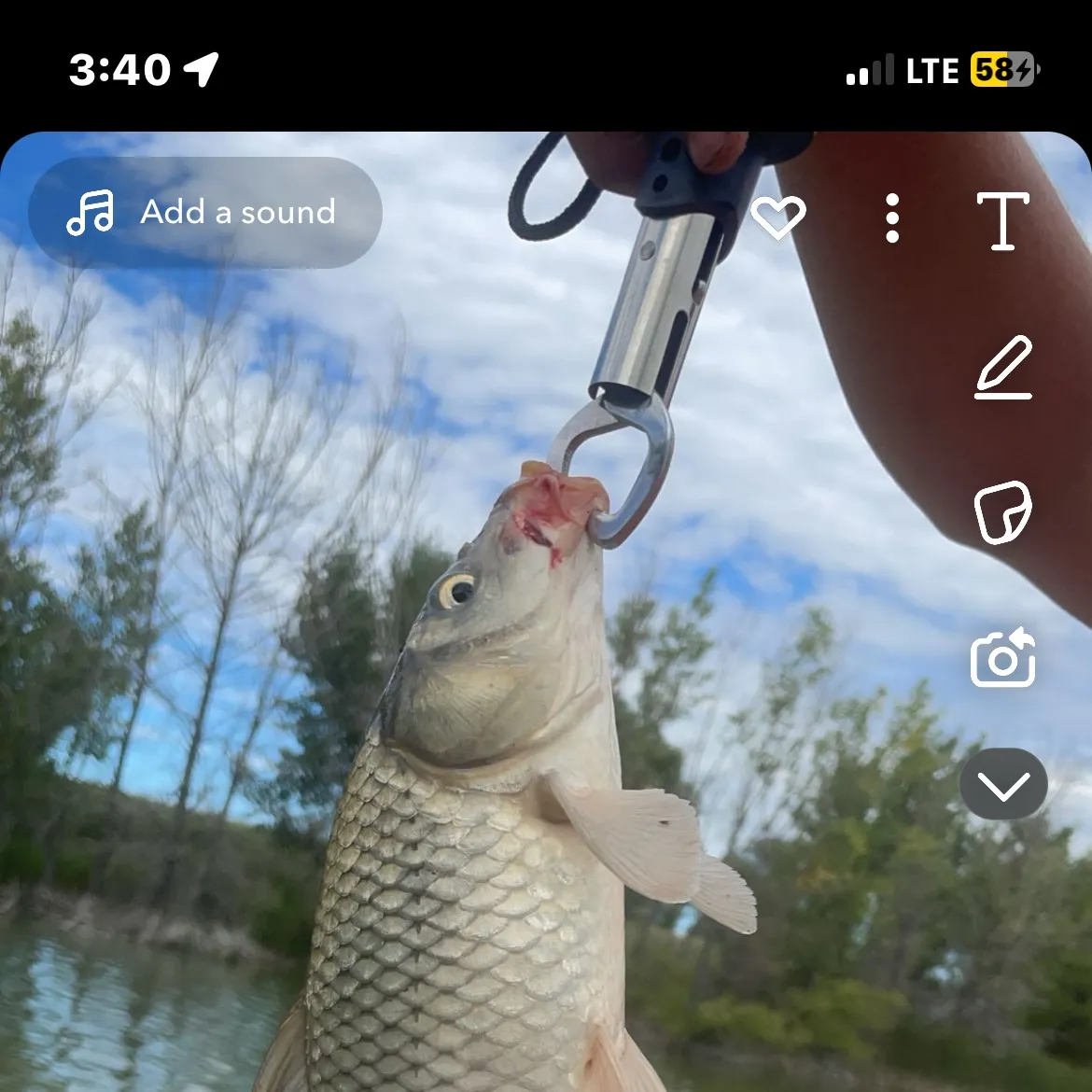 recently logged catches