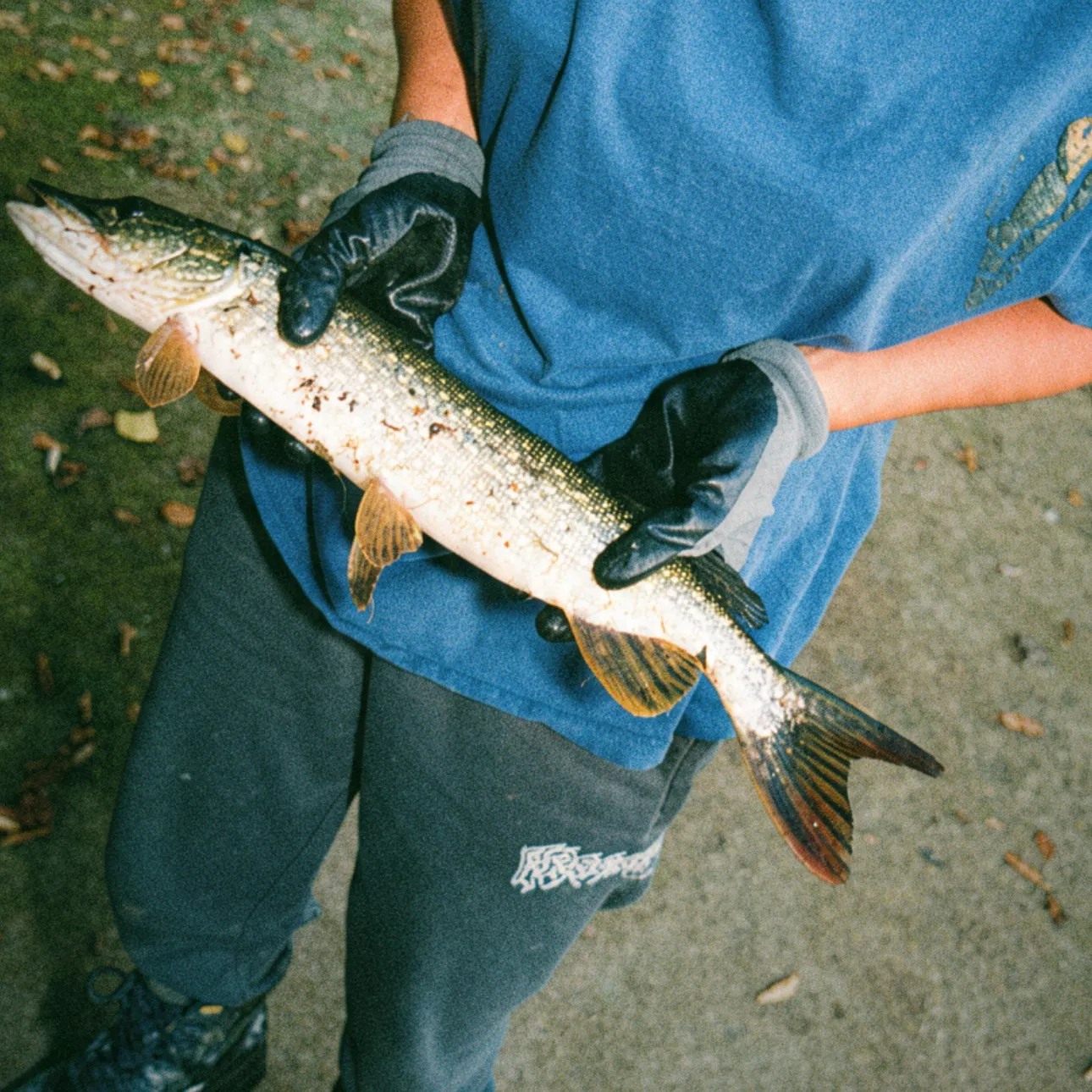 Fish caught on Fishbrain