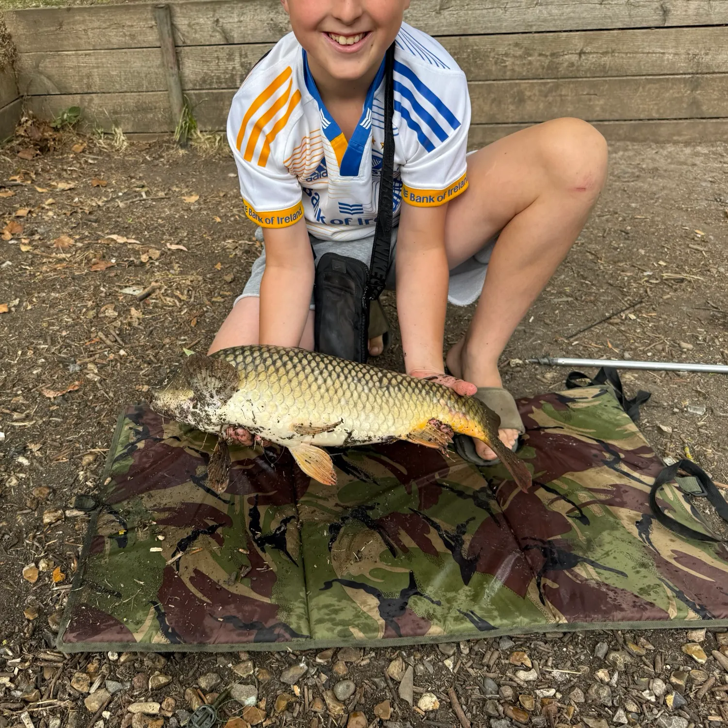 Common carp caught on Fishbrain