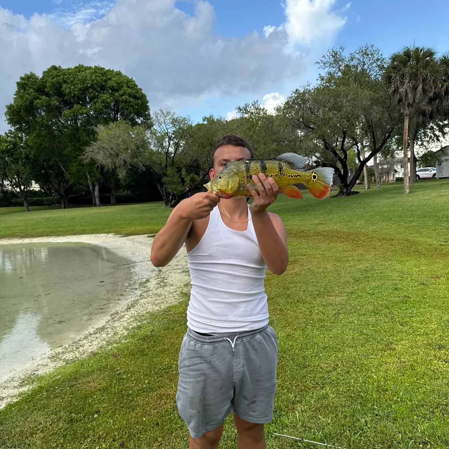 The most recent Butterfly peacock bass catches on Fishbrain