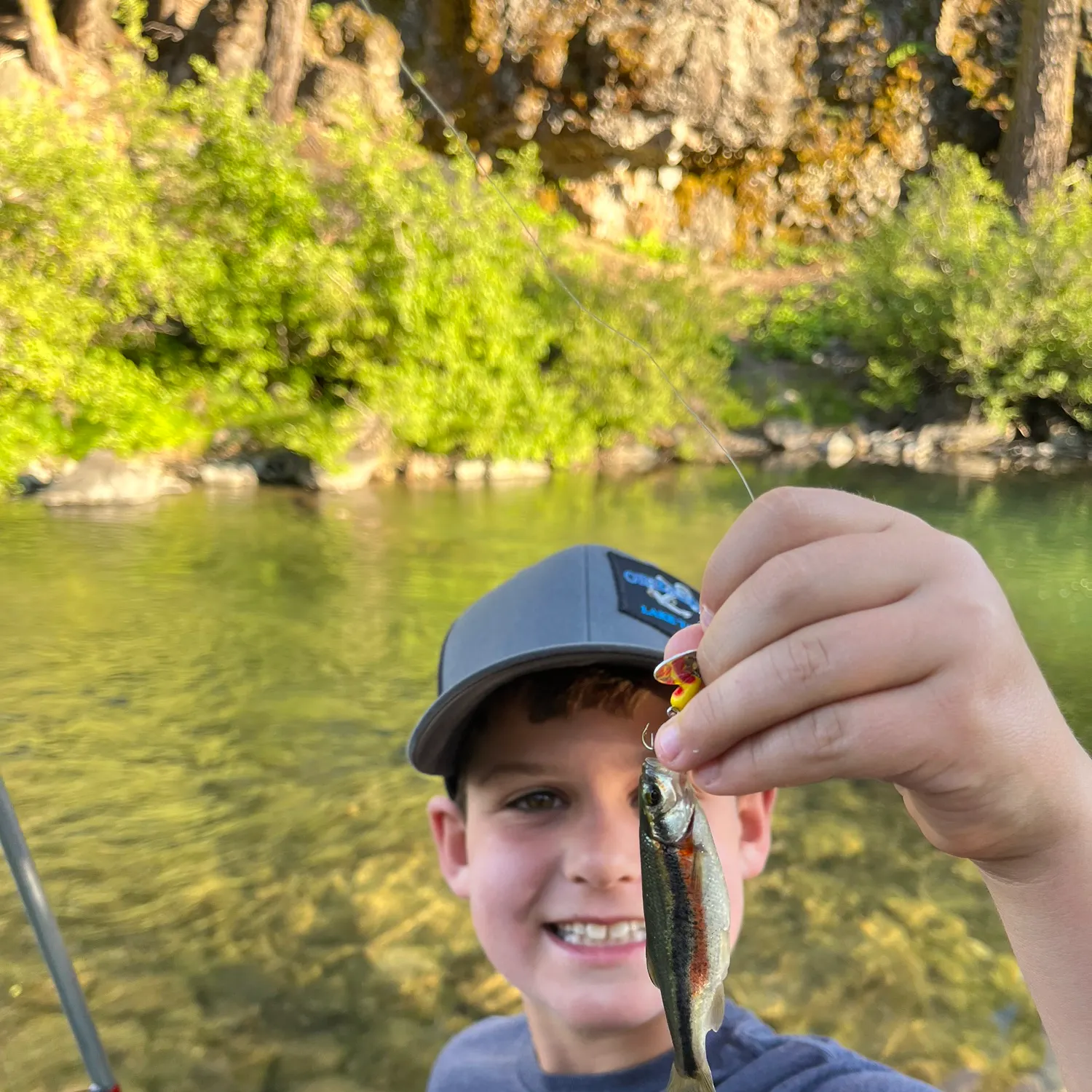 The most recent Redside shiner catches on Fishbrain