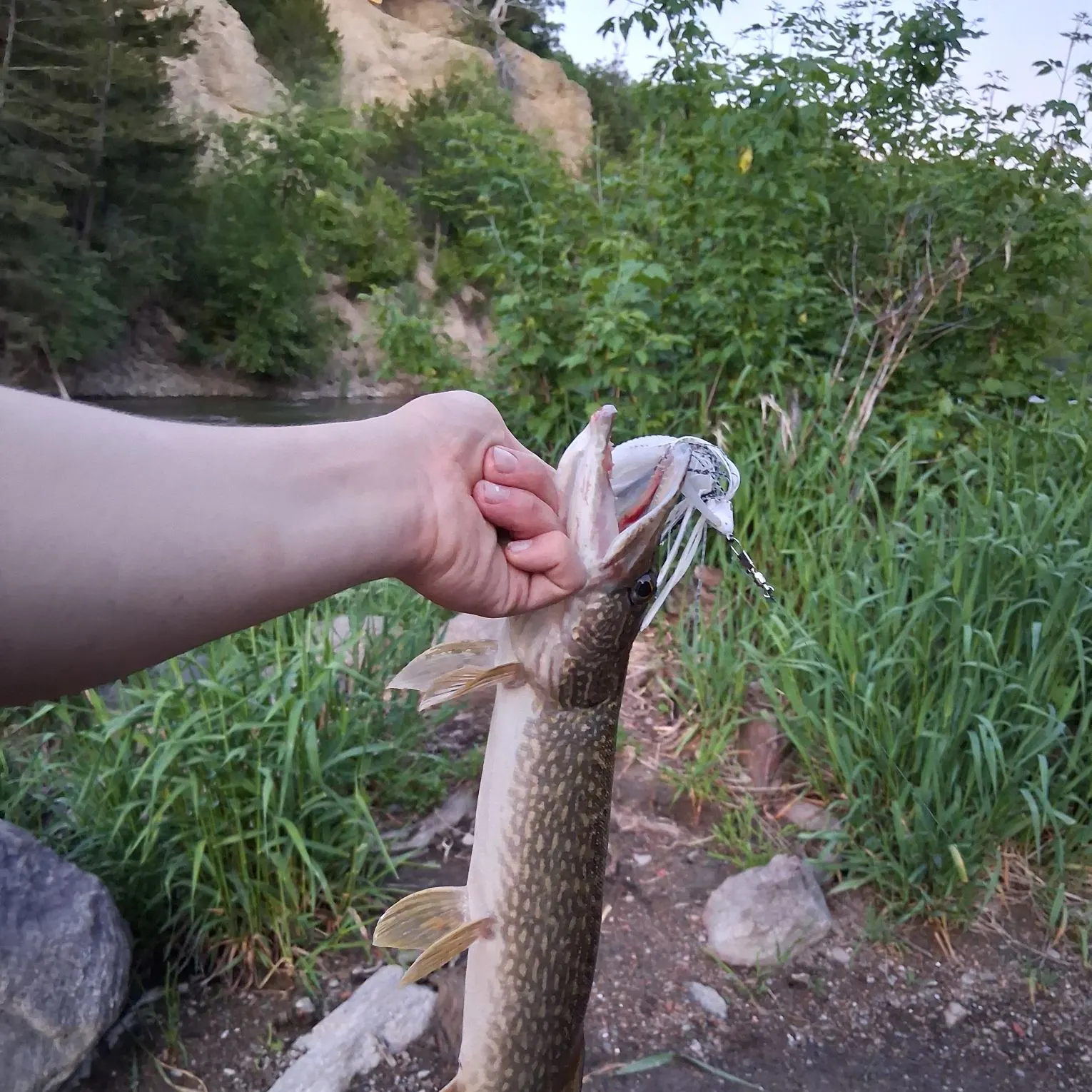 catch