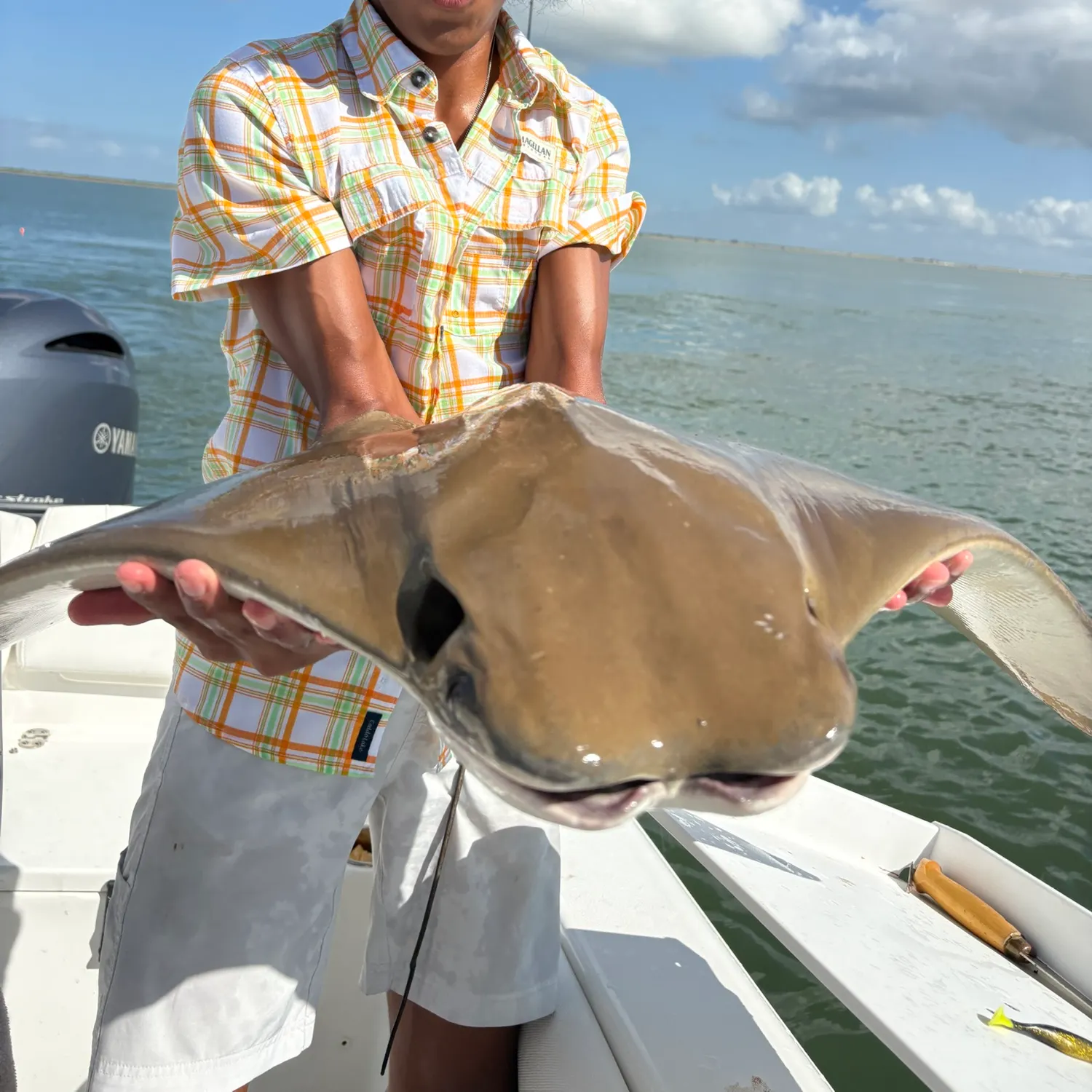 The most recent Cownose Ray catches on Fishbrain