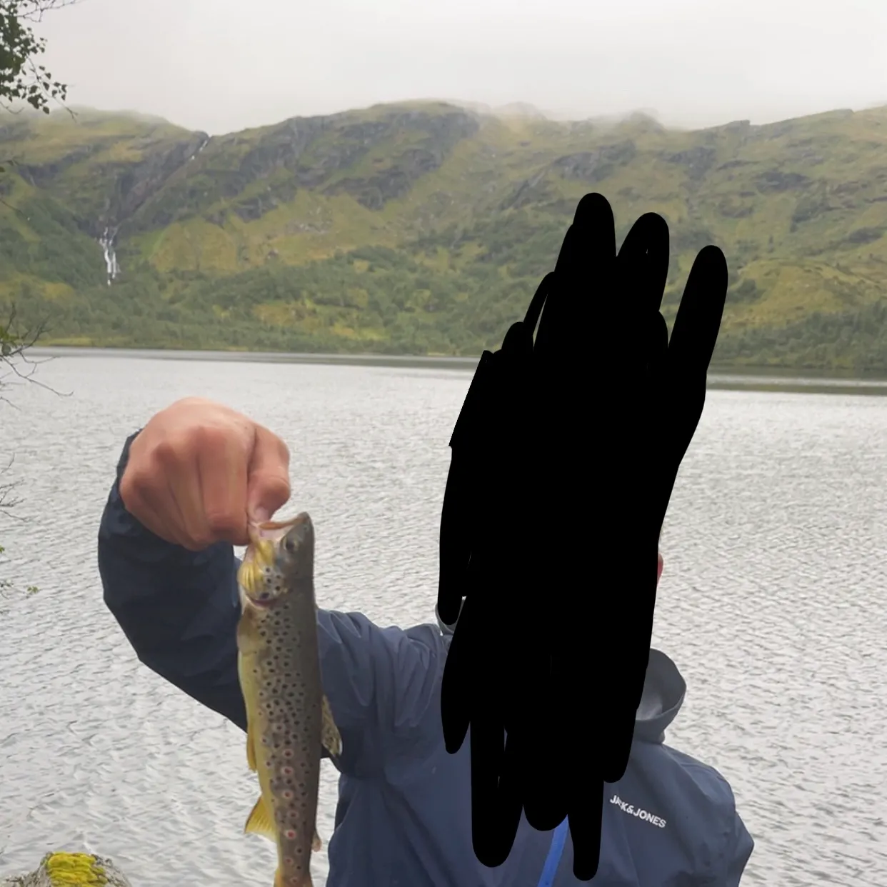 Lake trout caught on Fishbrain