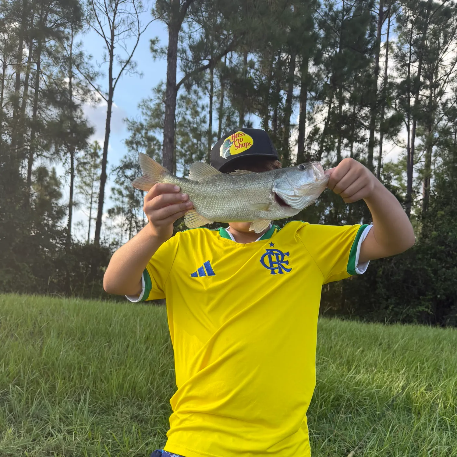 Largemouth bass caught on Fishbrain