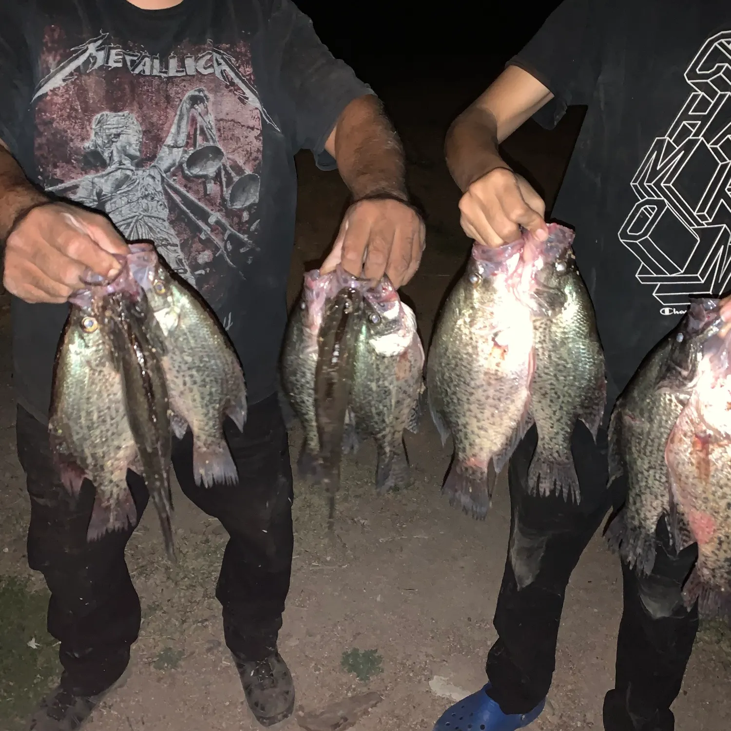 angler catch