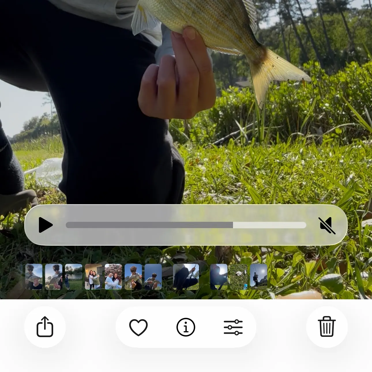 recently logged catches