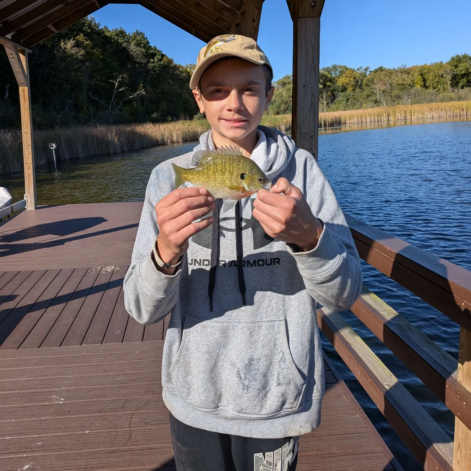 Bluegill caught on Fishbrain
