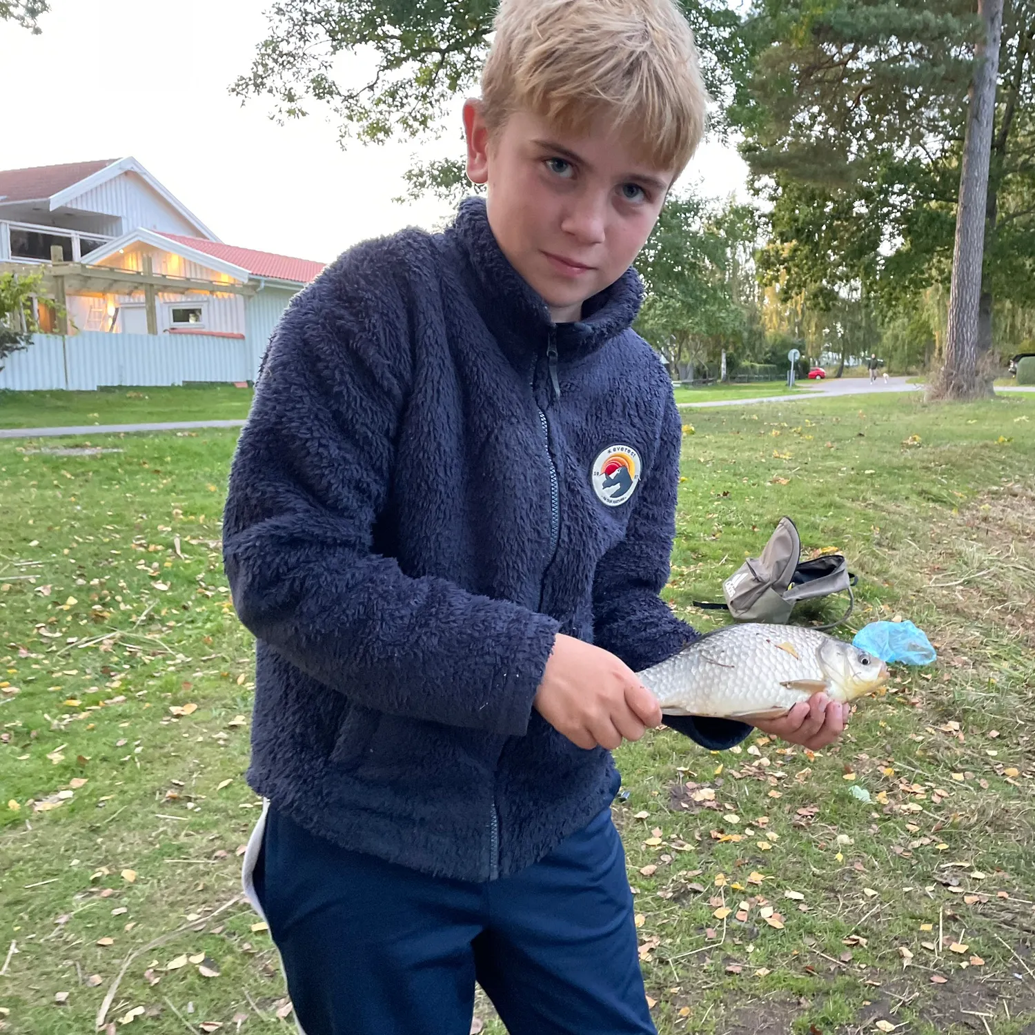 Crucian carp caught on Fishbrain