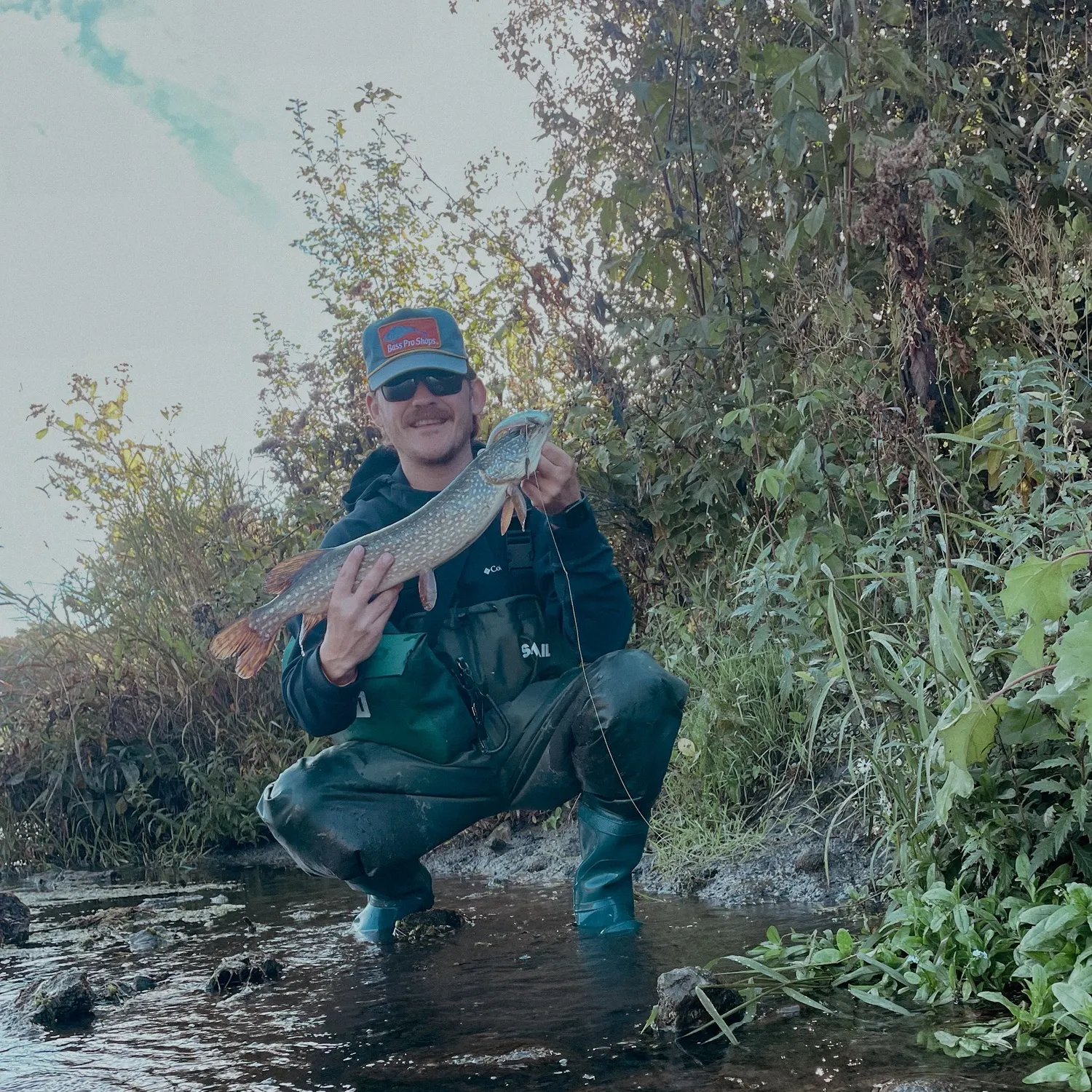 Northern pike caught on Fishbrain