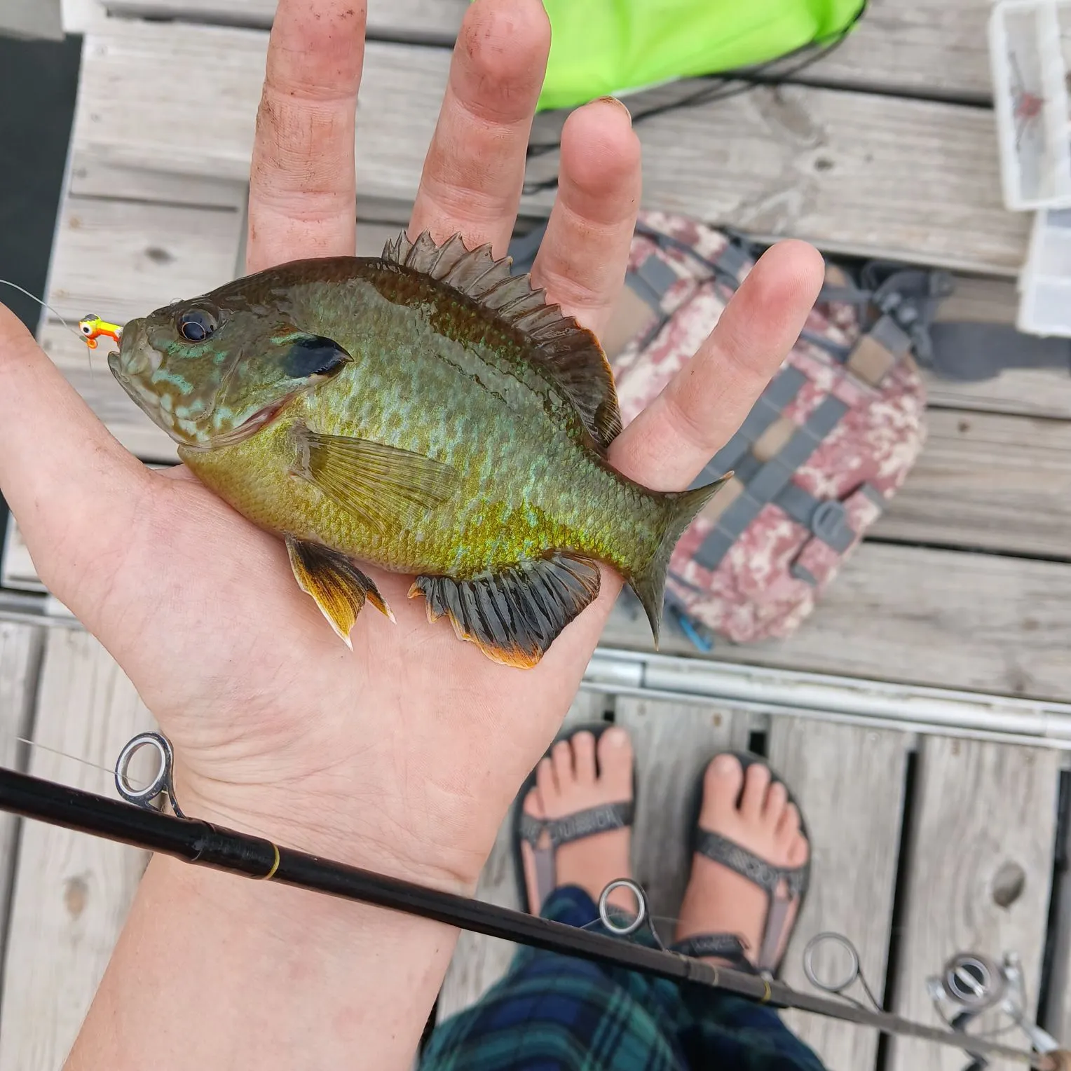 catch
