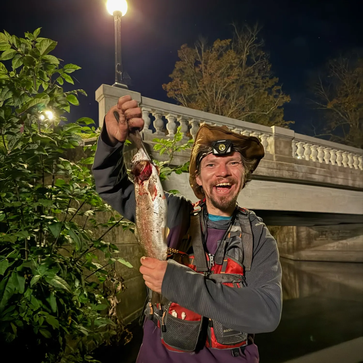 Rainbow trout caught on Fishbrain