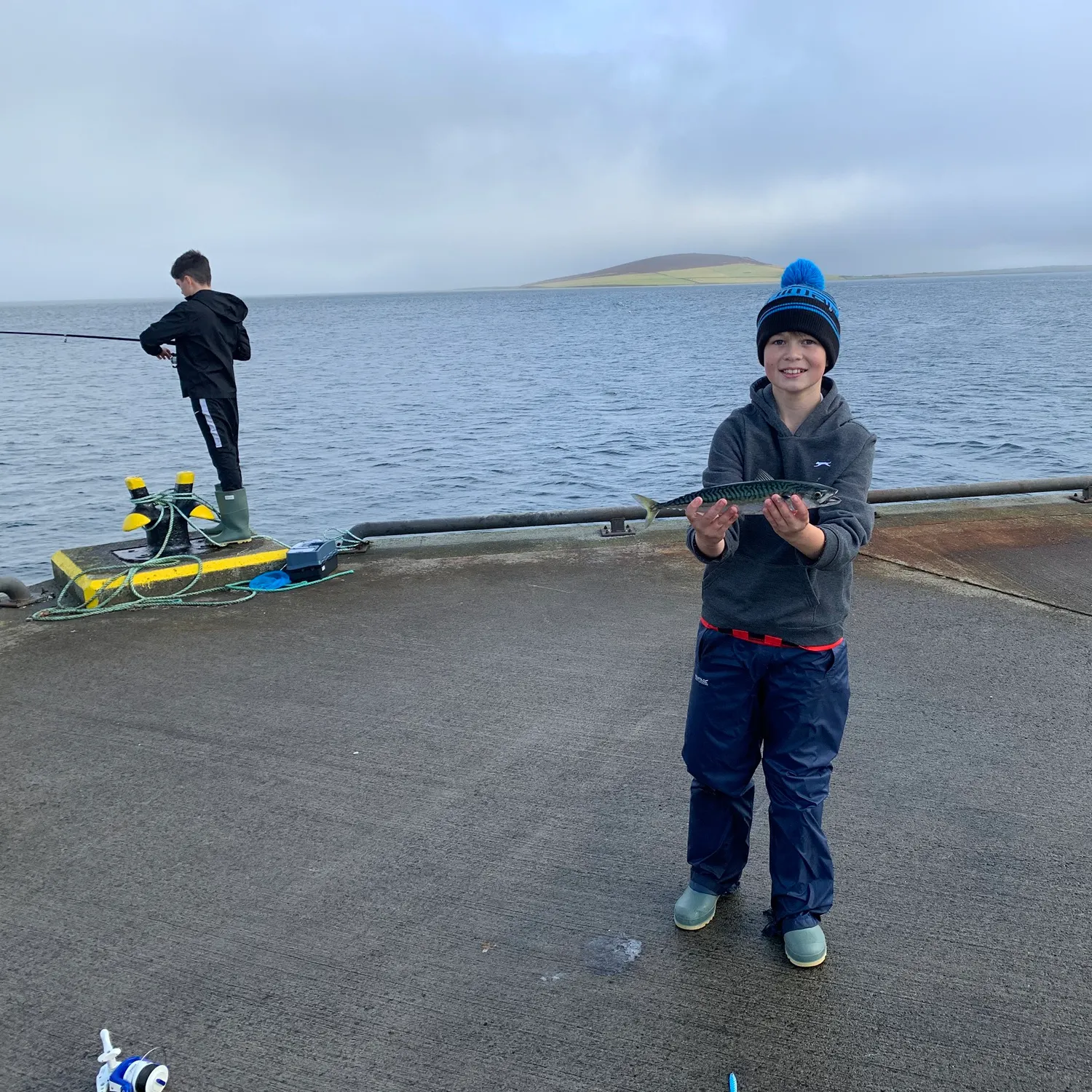 The most recent Atlantic mackerel catches on Fishbrain