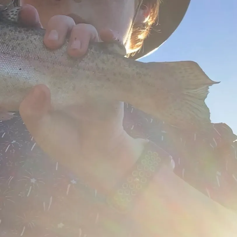 Rainbow trout caught on Fishbrain