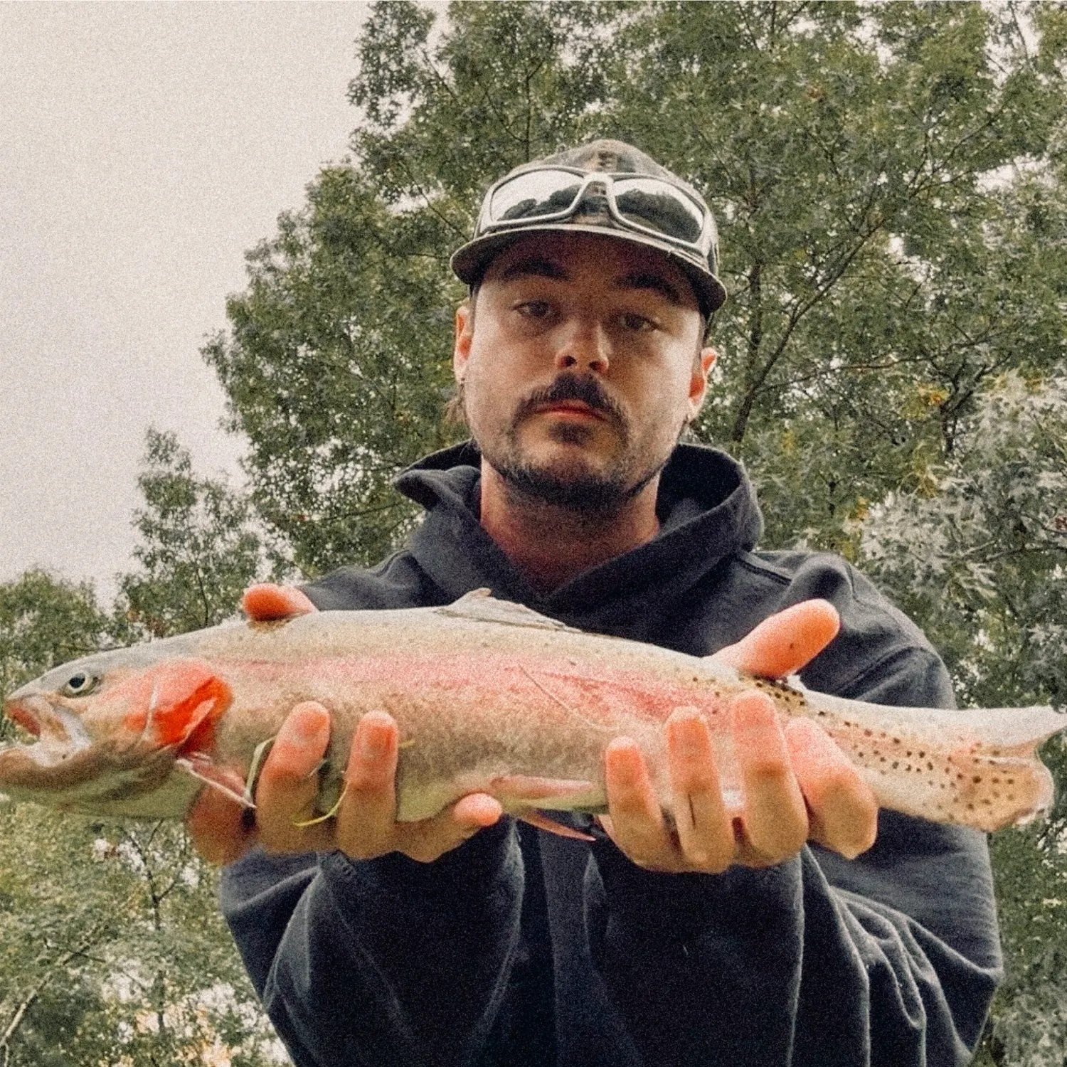 Rainbow trout caught on Fishbrain