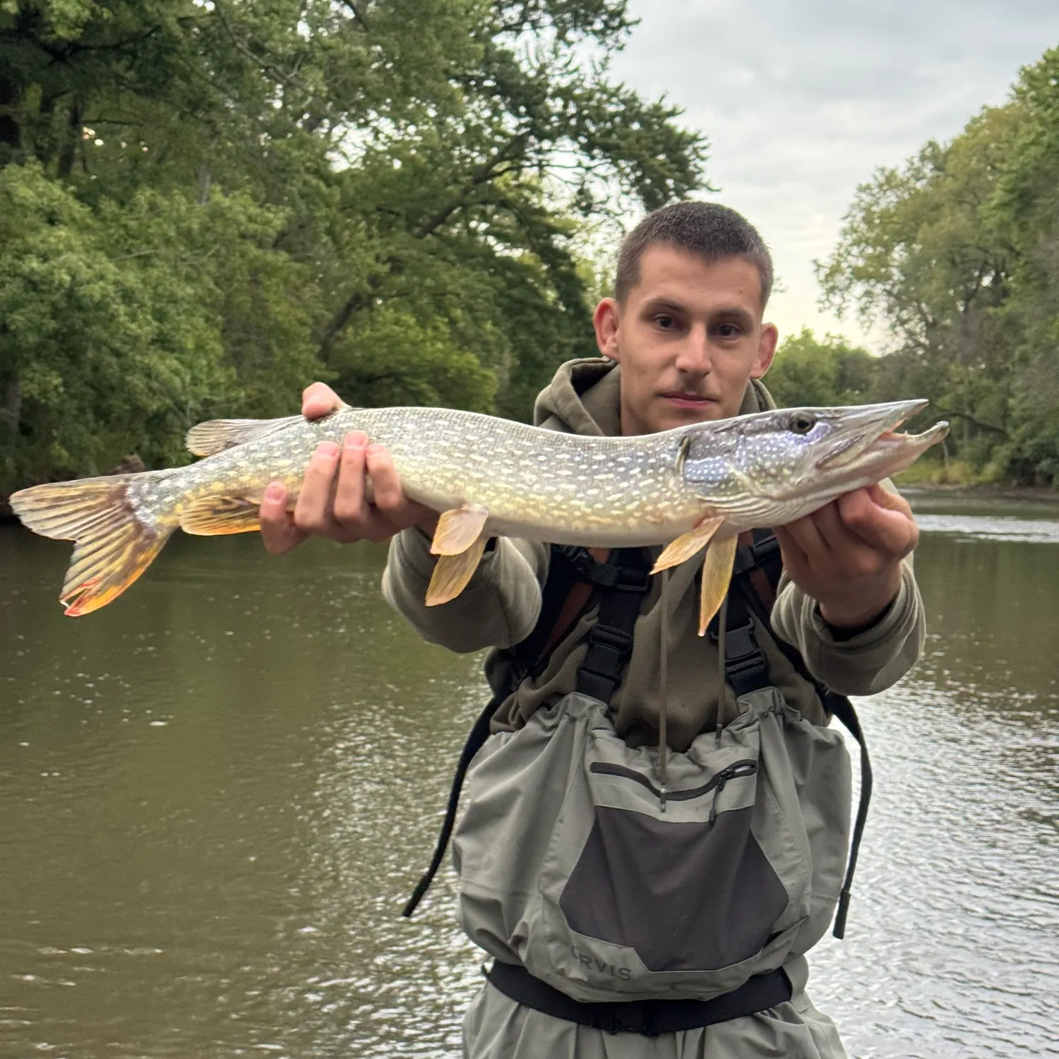 Northern pike caught on Fishbrain