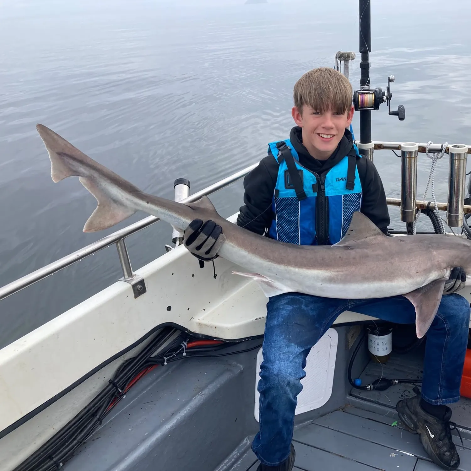 The most recent Tope shark catches on Fishbrain