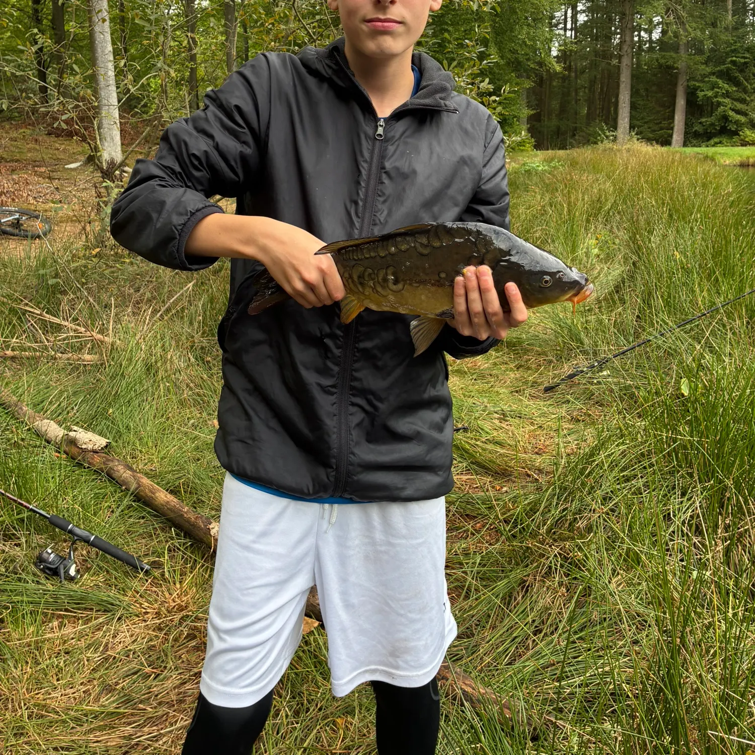 Mirror carp caught on Fishbrain