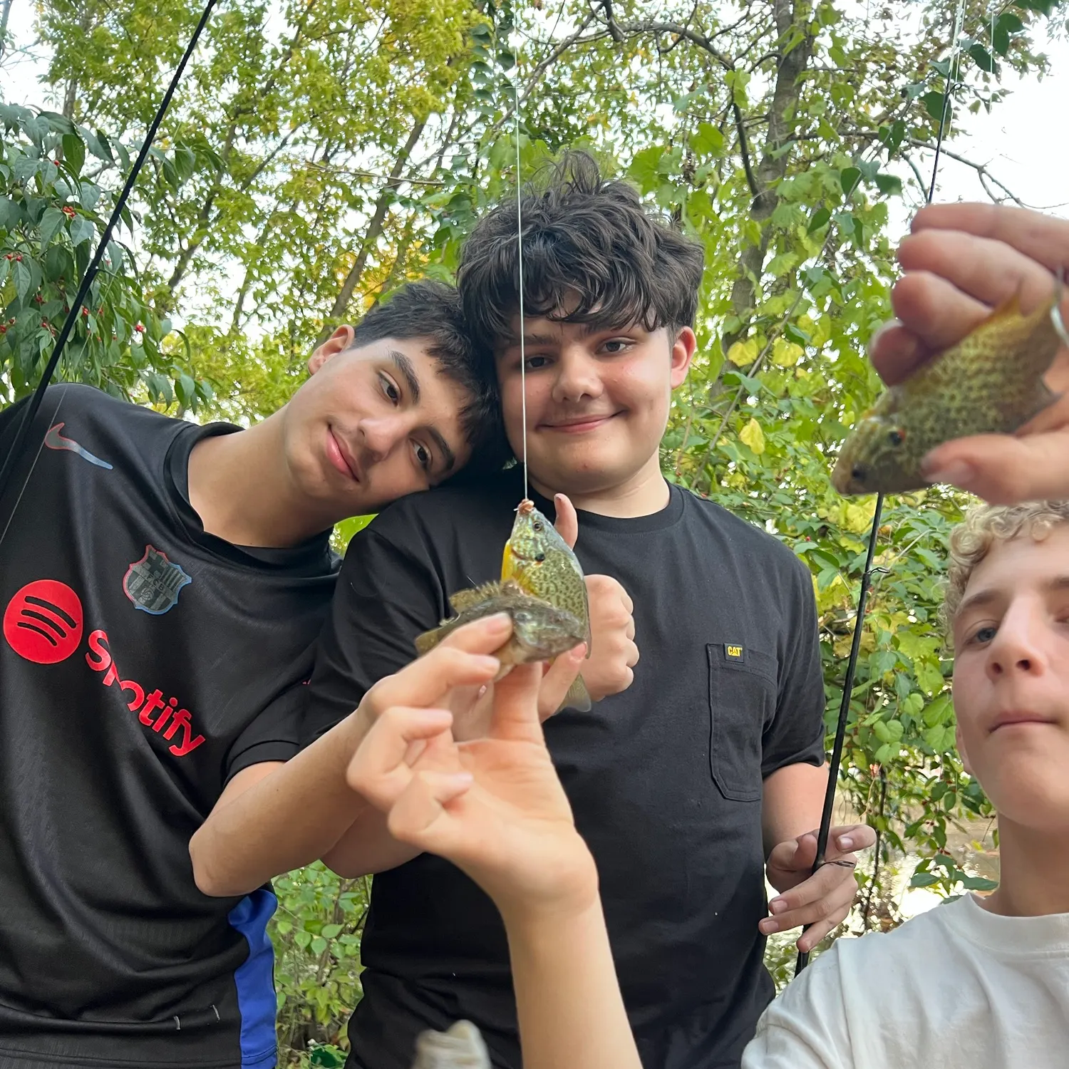 Pumpkinseed caught on Fishbrain