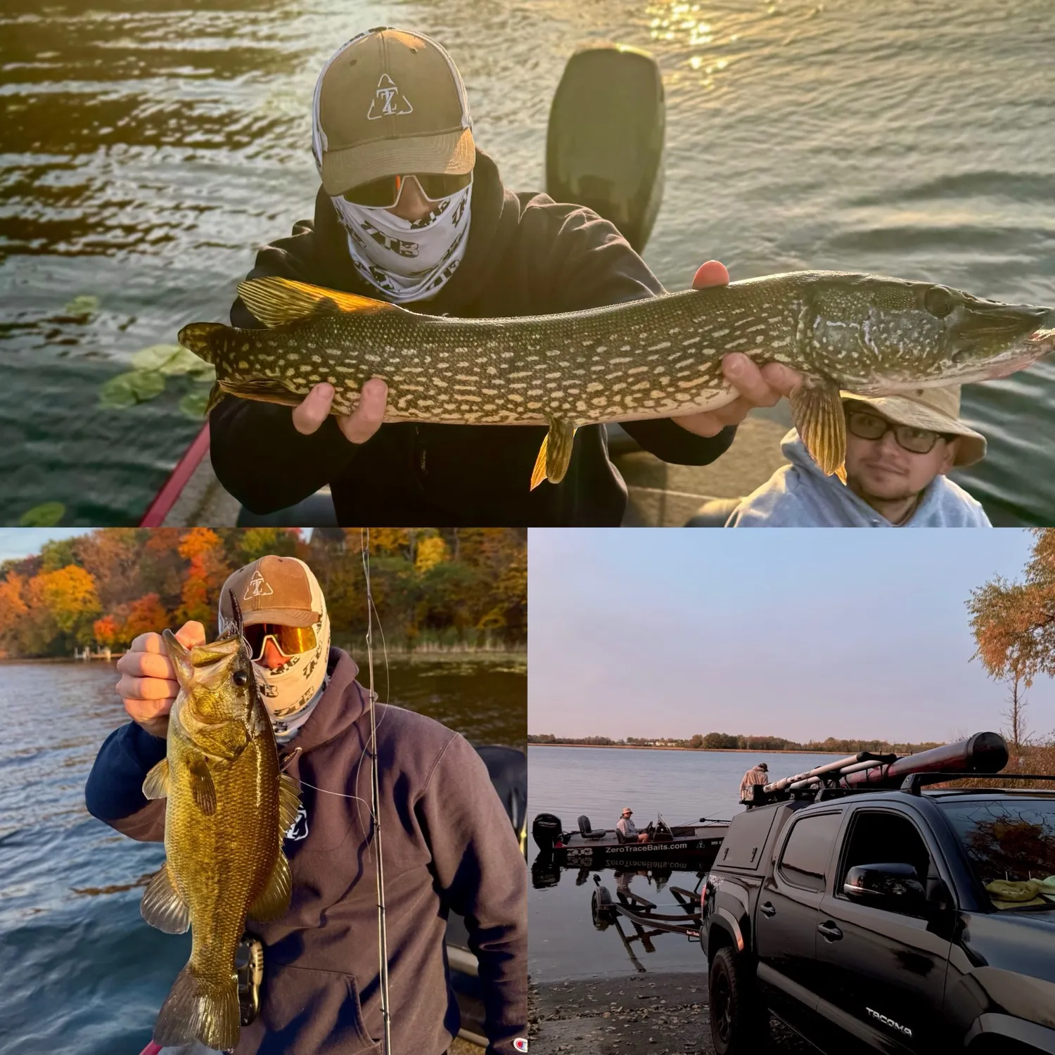Northern pike caught on Fishbrain