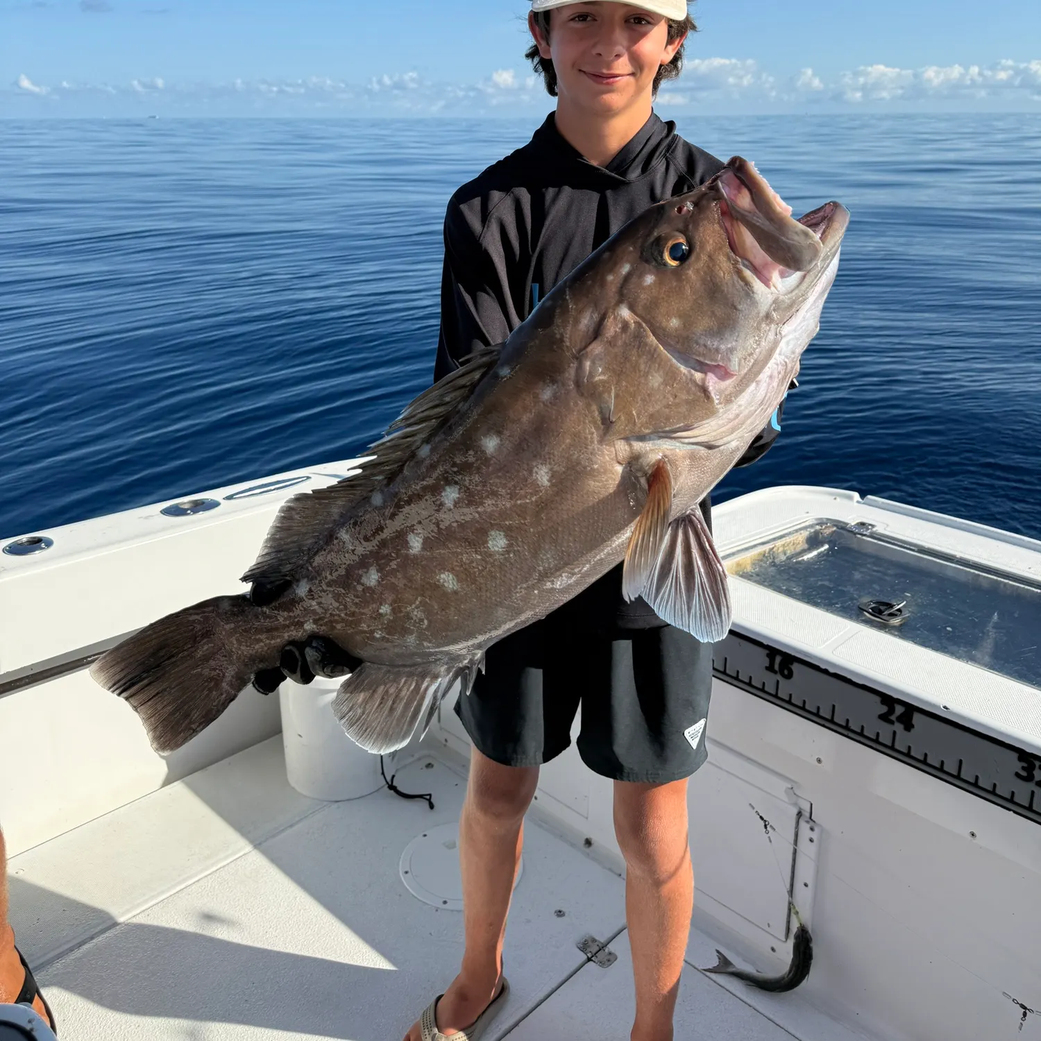 The most recent Snowy grouper catches on Fishbrain