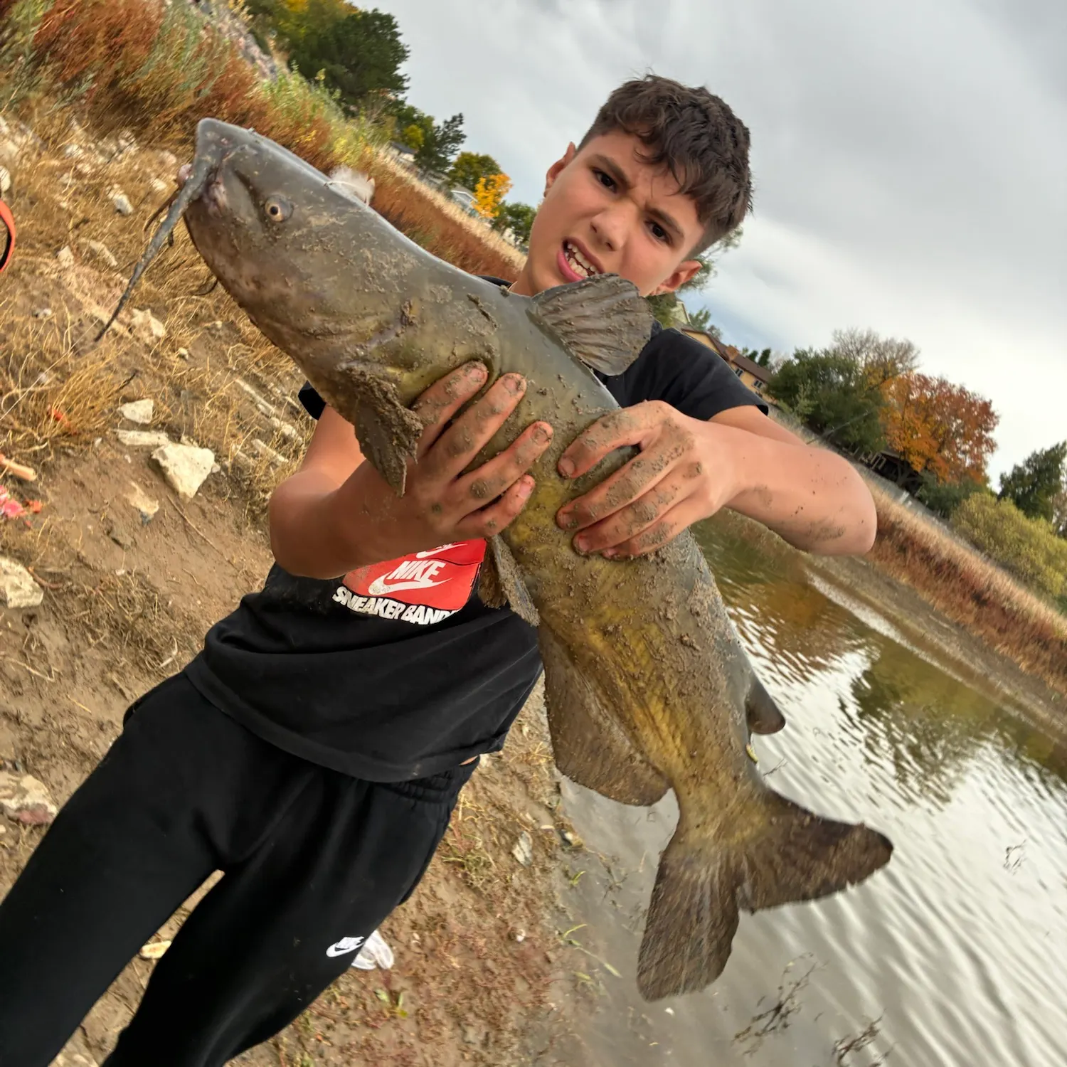 Channel catfish caught on Fishbrain