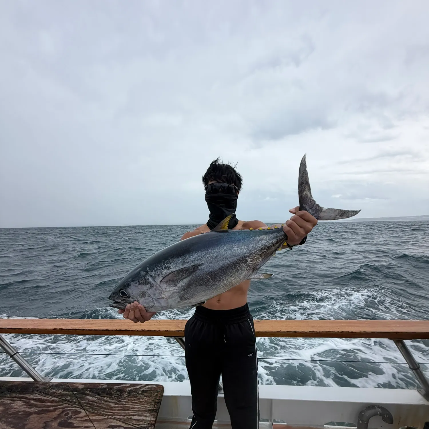 Pacific bluefin tuna caught on Fishbrain
