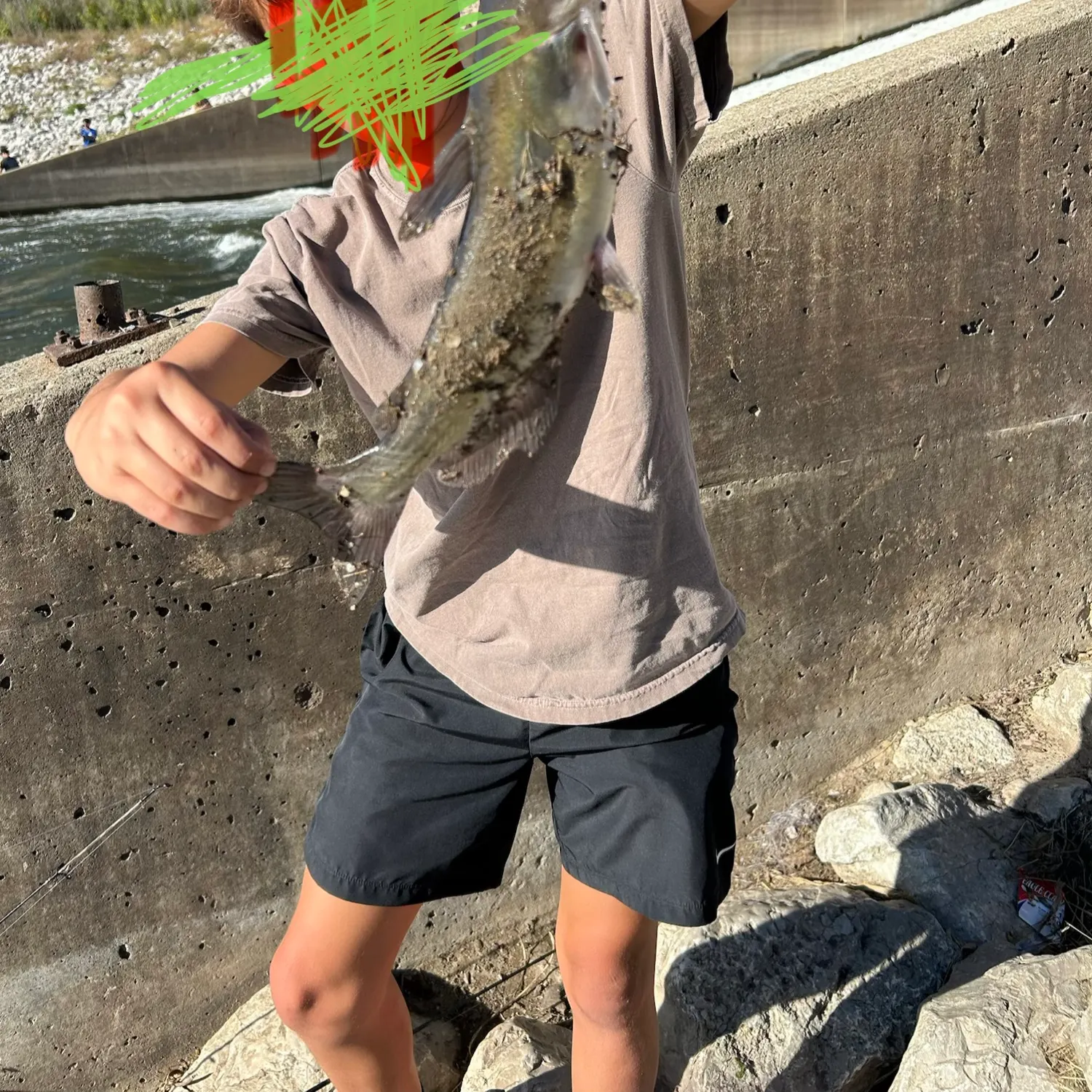 Channel catfish caught on Fishbrain