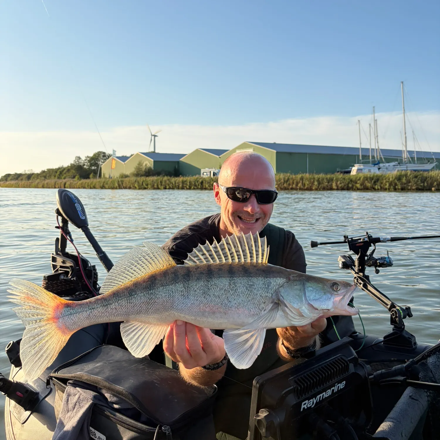 Zander caught on Fishbrain