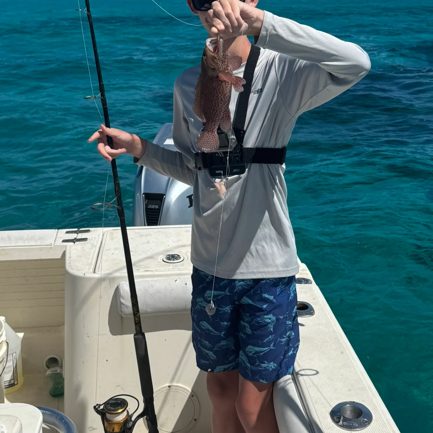 The most recent Graysby grouper catches on Fishbrain