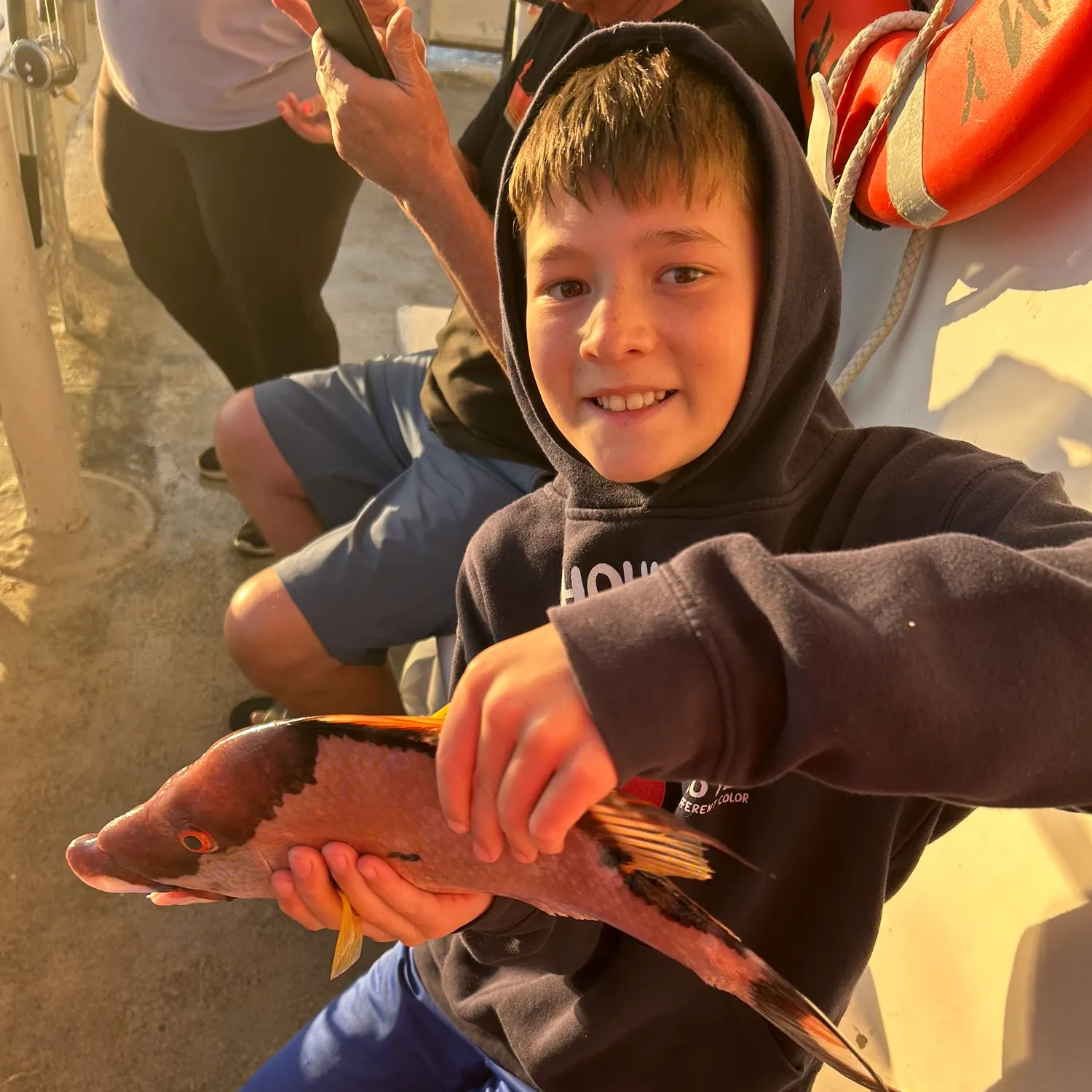 The most recent Hogfish catches on Fishbrain