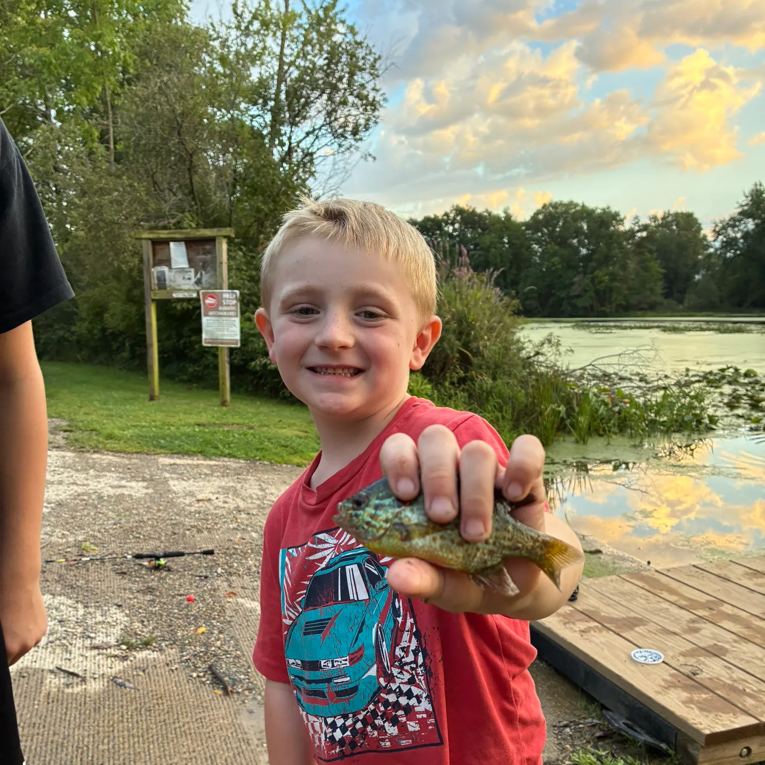 Pumpkinseed caught on Fishbrain