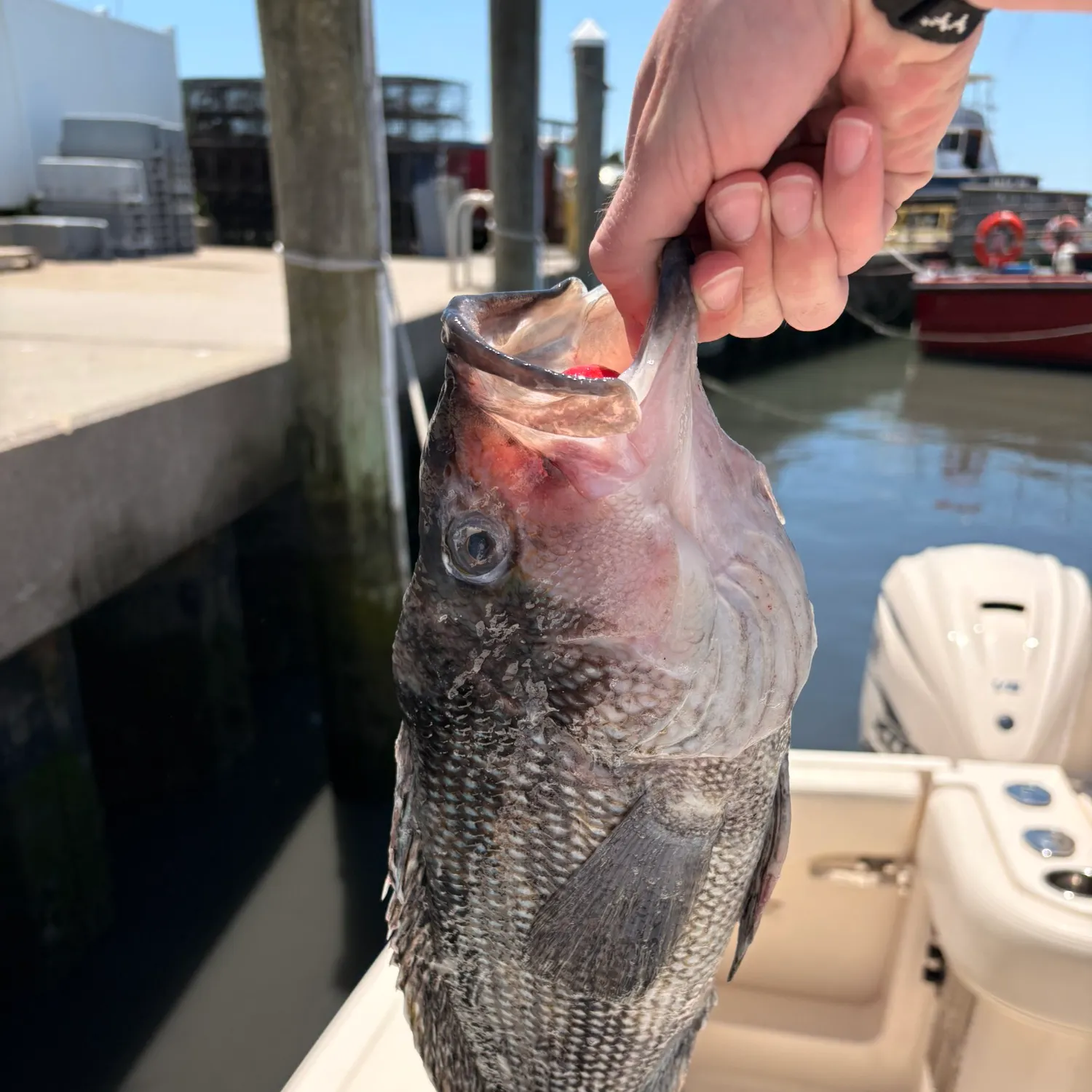catch