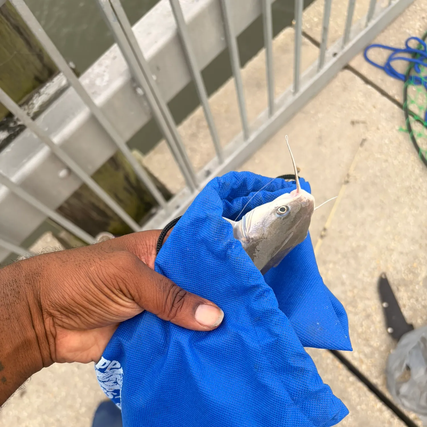 catch