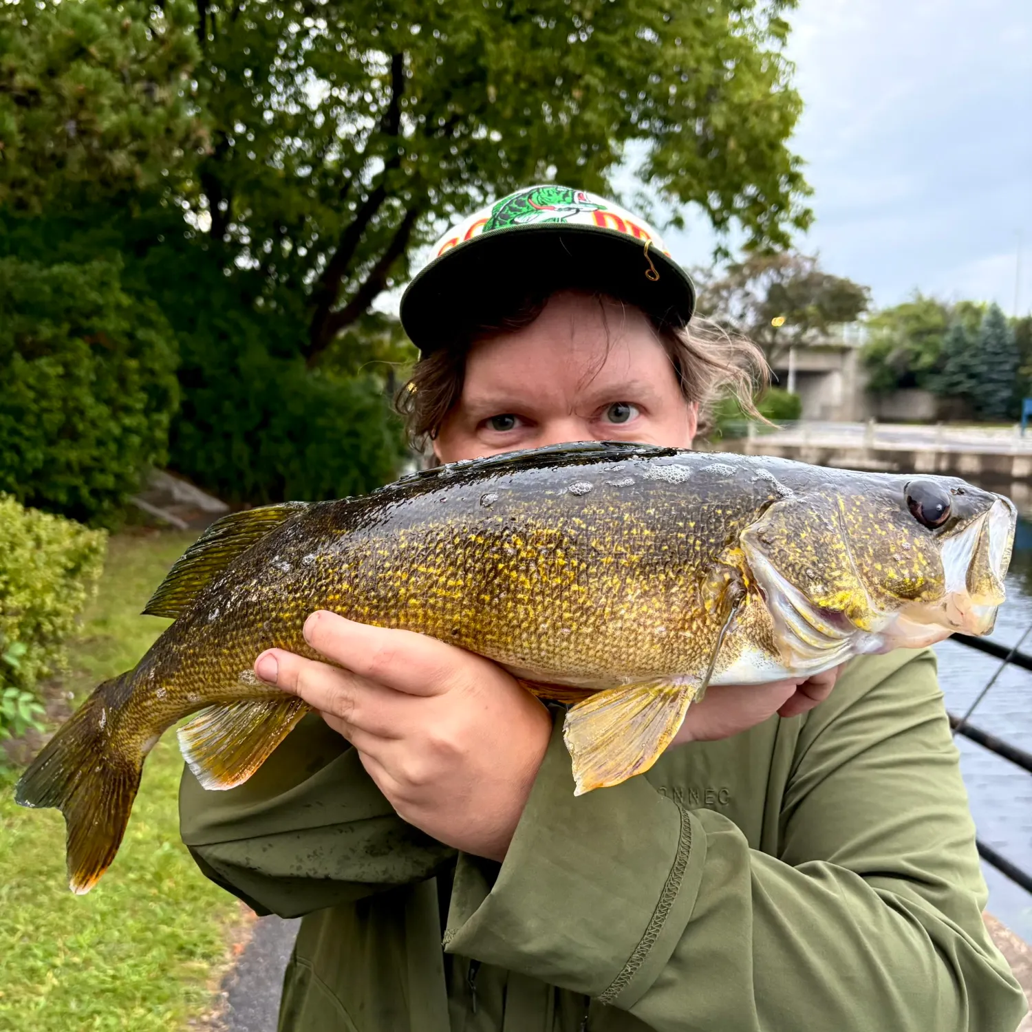 Walleye caught on Fishbrain