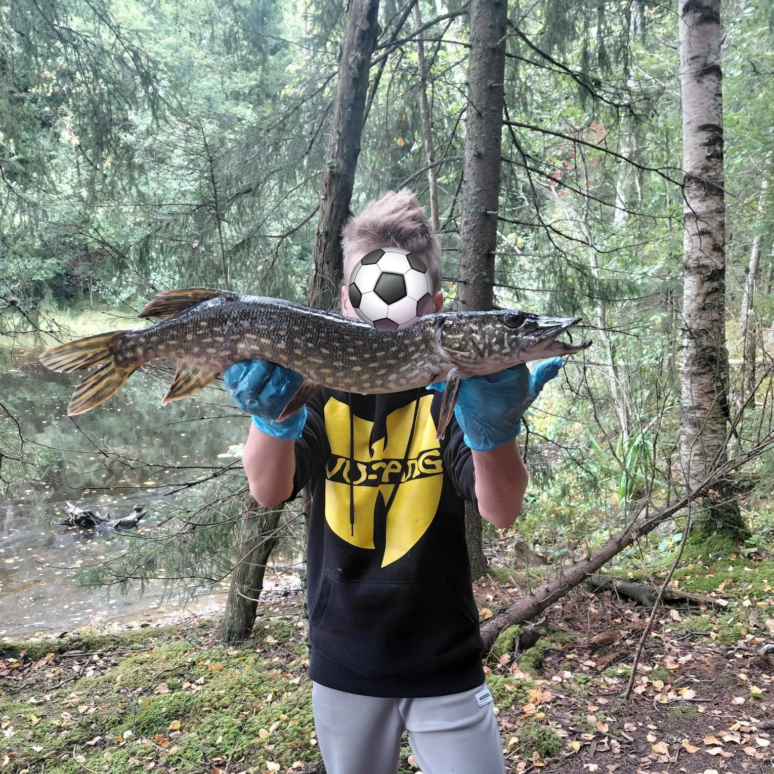 Northern pike caught on Fishbrain