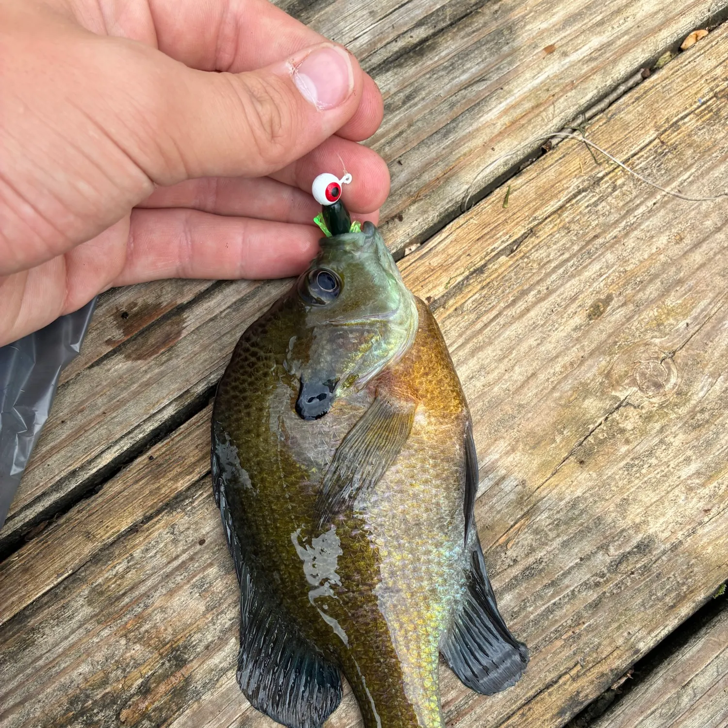 catch