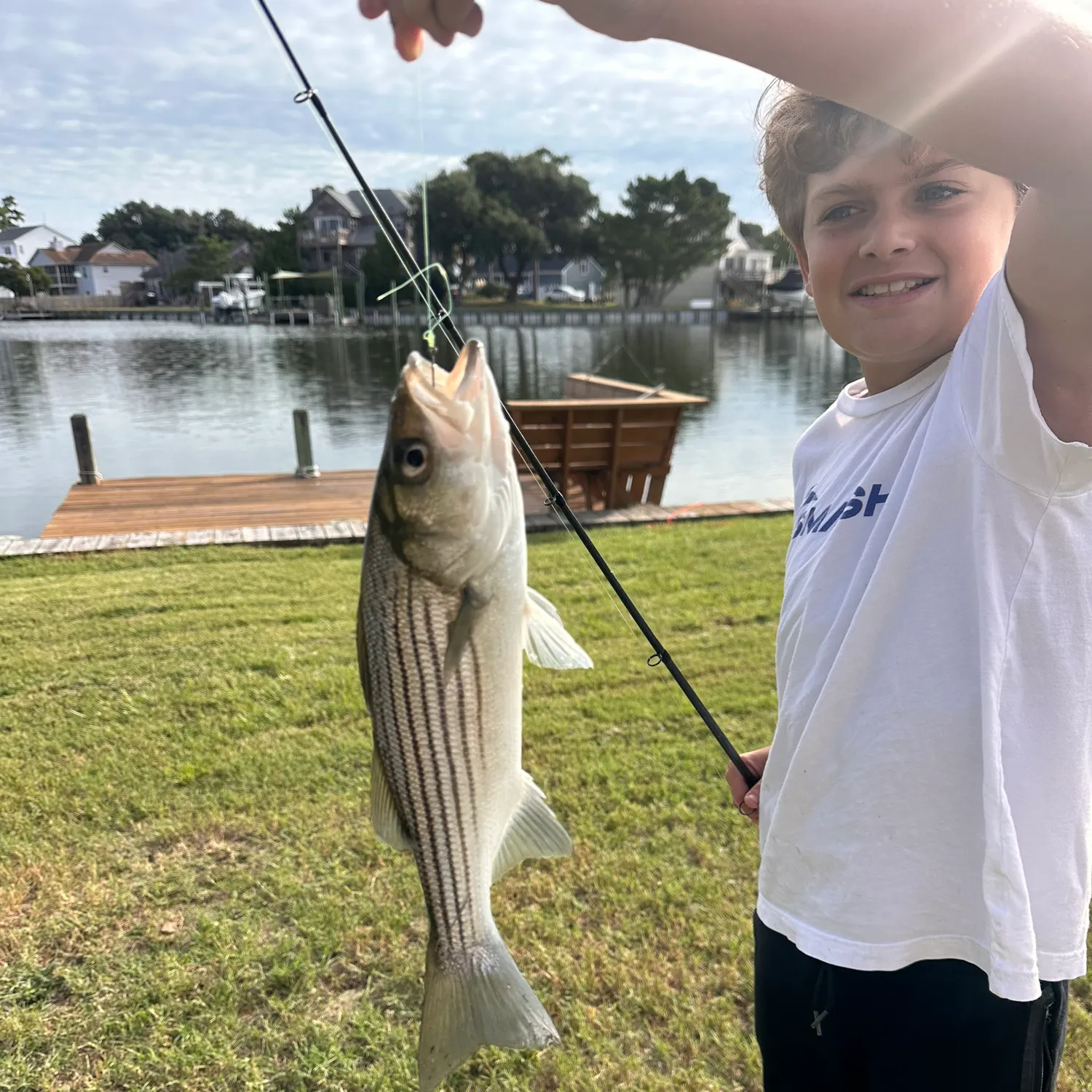 Striped bass caught on Fishbrain